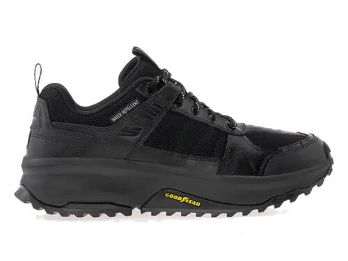 SKECHERS picture