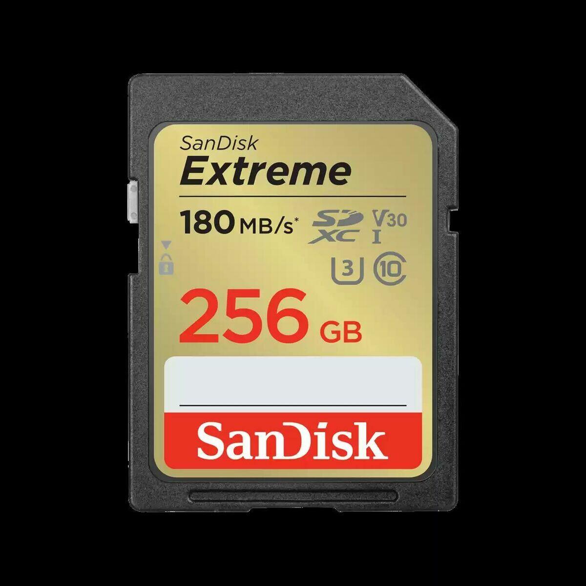 SANDISK picture