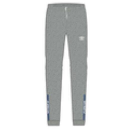 Pantalon pour Adulte Umbro FW 66216U Gris