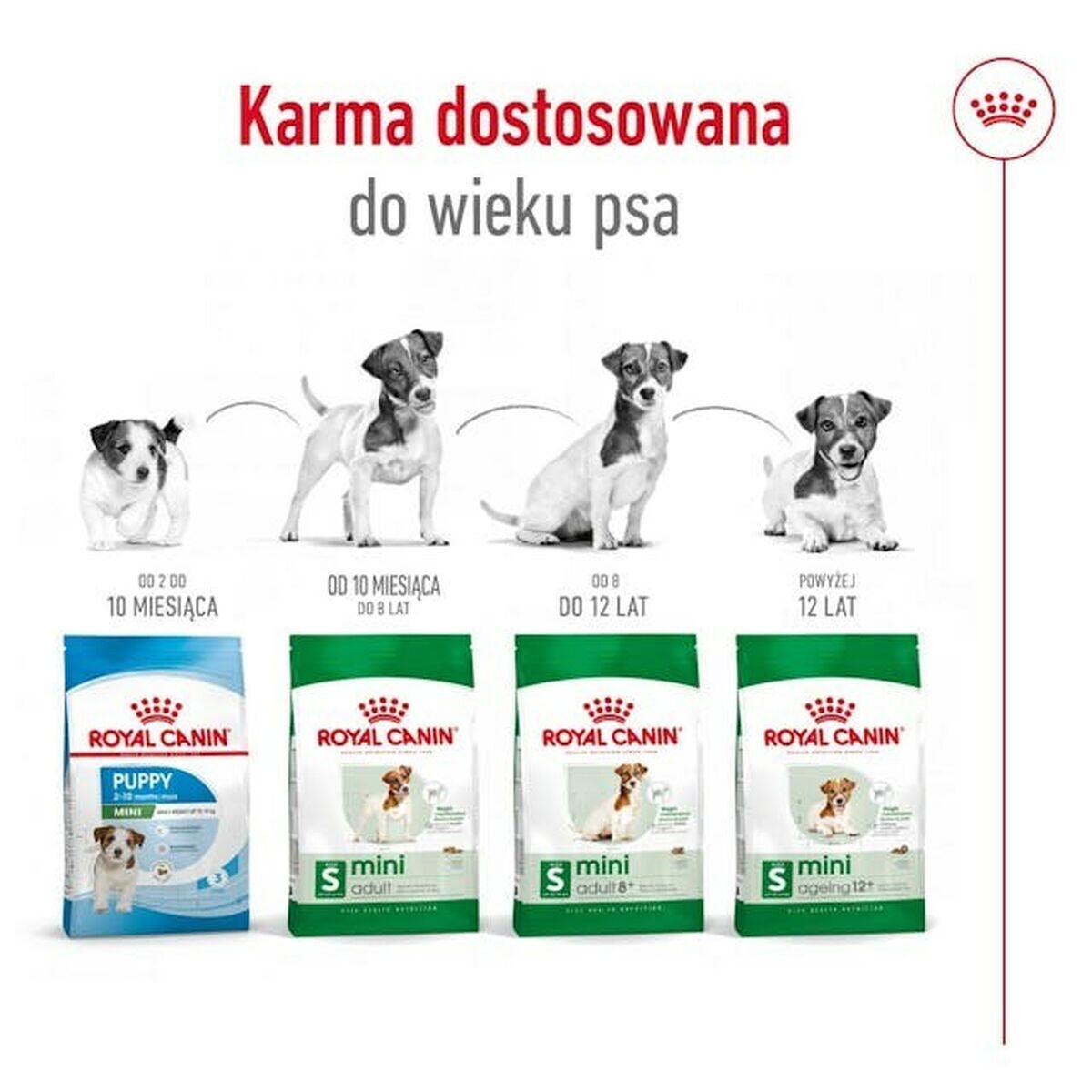 Pienso Royal Canin Adult Mini S Aves 3/5