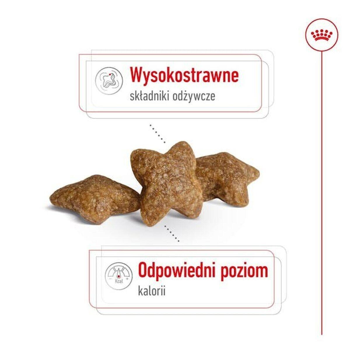 Pienso Royal Canin Adult Mini S Aves 4/5