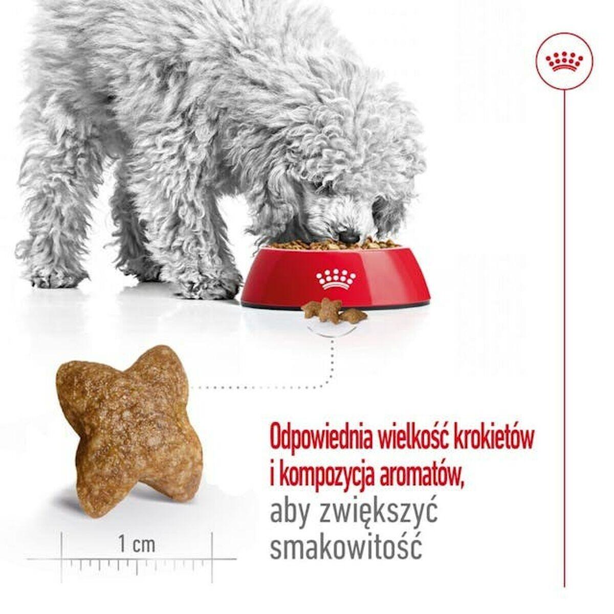 Pienso Royal Canin Adult Mini S Aves 5/5