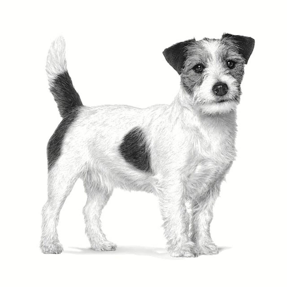 Pienso Royal Canin Gastrointestinal Low Fat Small VHN Adultos 3/3