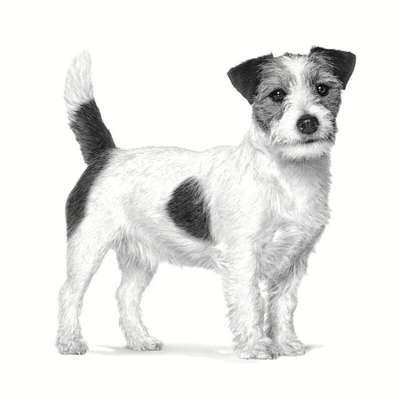Nutreț Royal Canin Gastrointestinal Low Fat Small VHN Adulți