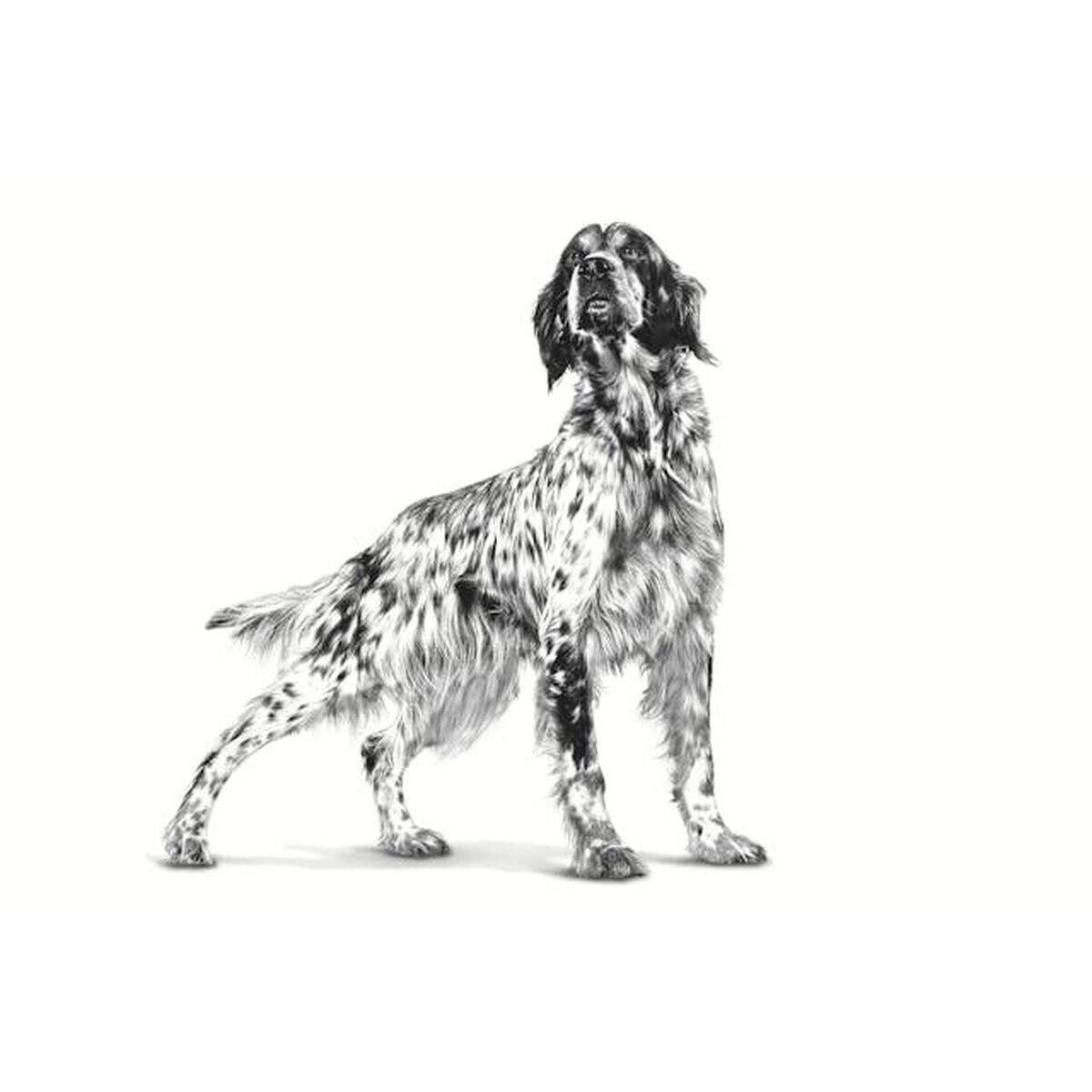 penso Royal Canin Hepatic Carne 3/4
