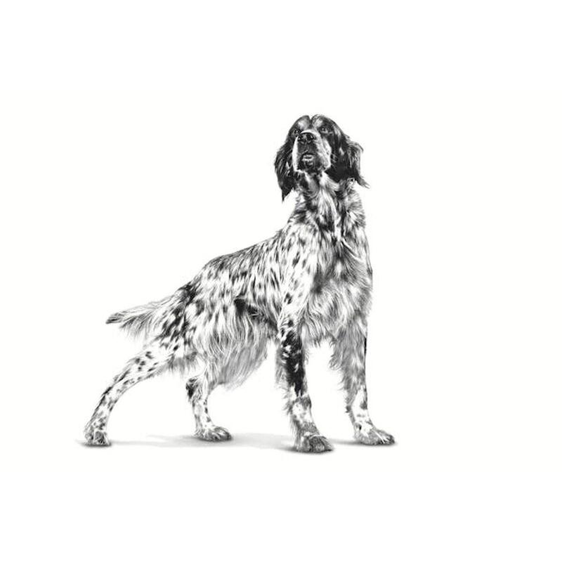 Nutreț Royal Canin Hepatic Carne