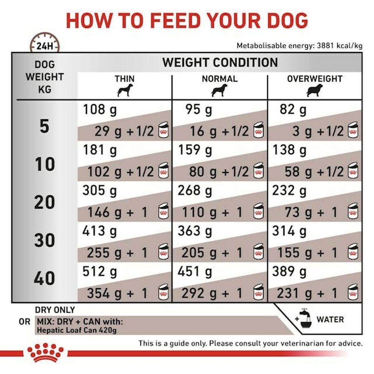 penso Royal Canin Hepatic Carne 4/4