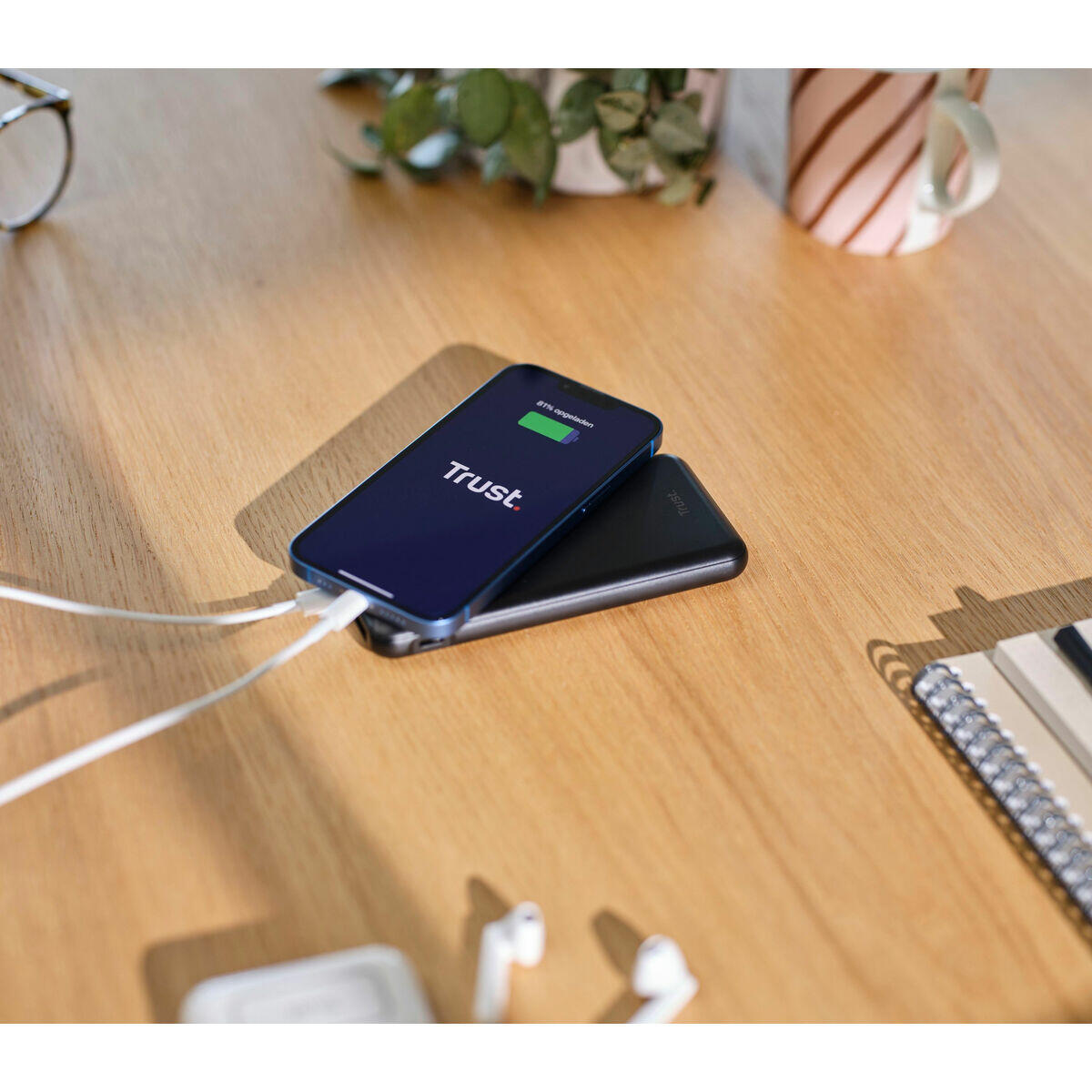 Powerbank Trust 24879 Universal 5/5