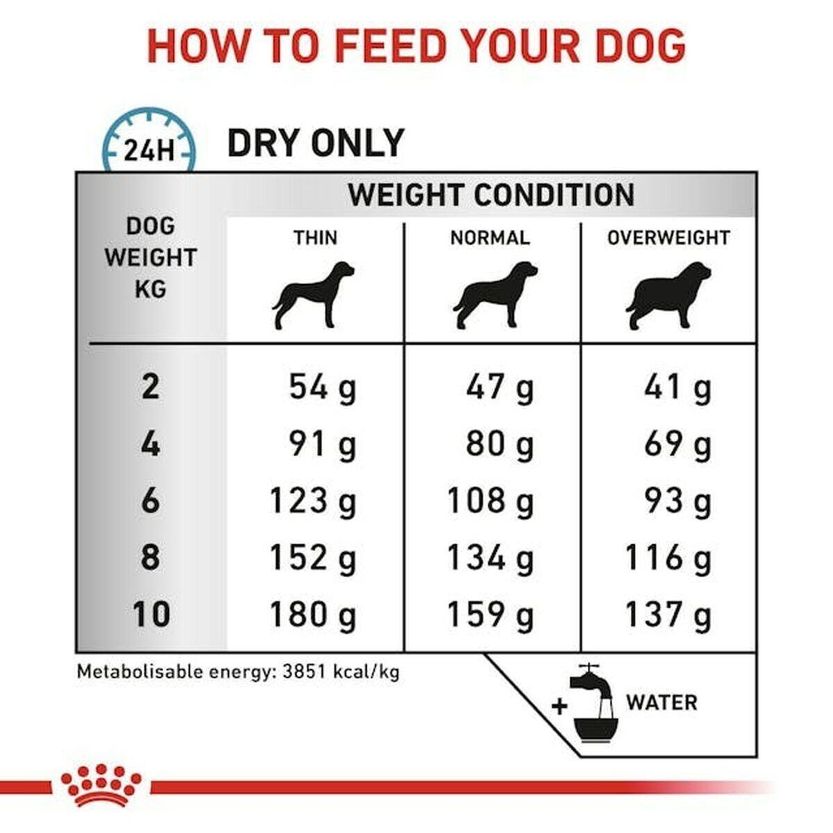 Pienso Royal Canin Adulto 1/4