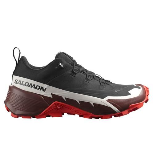 Buty trekkingowe męskie Salomon Cross Hike Gtx 2