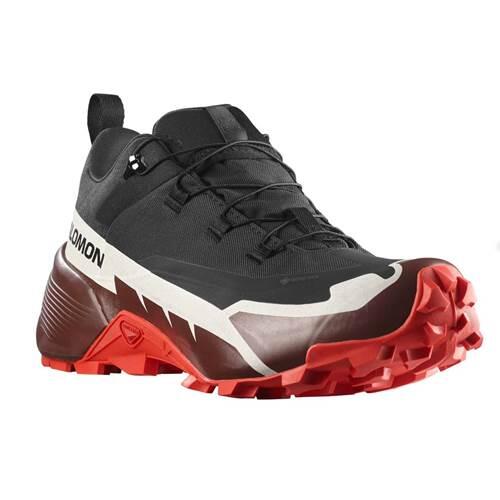 SALOMON picture