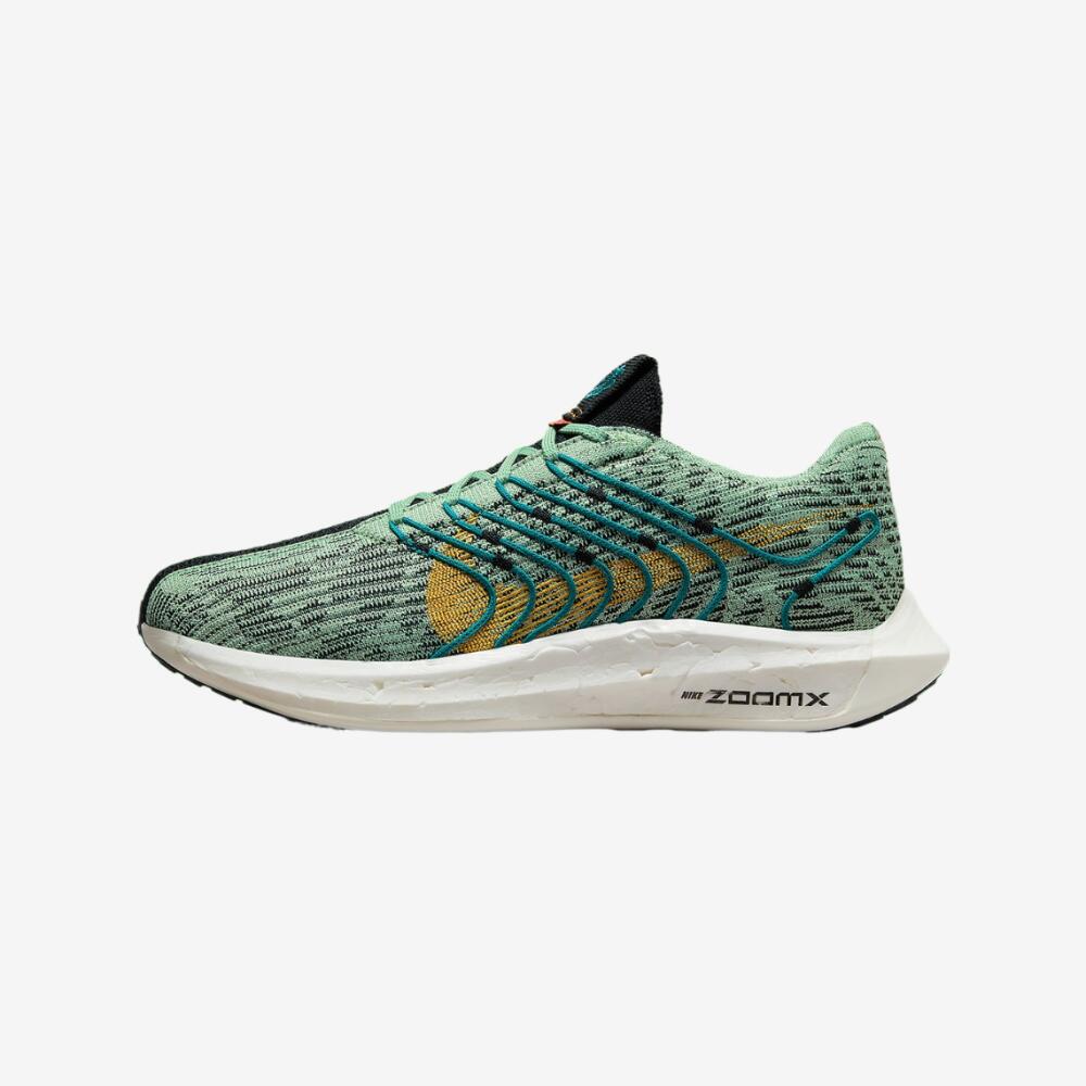 nike pegasus turbo men