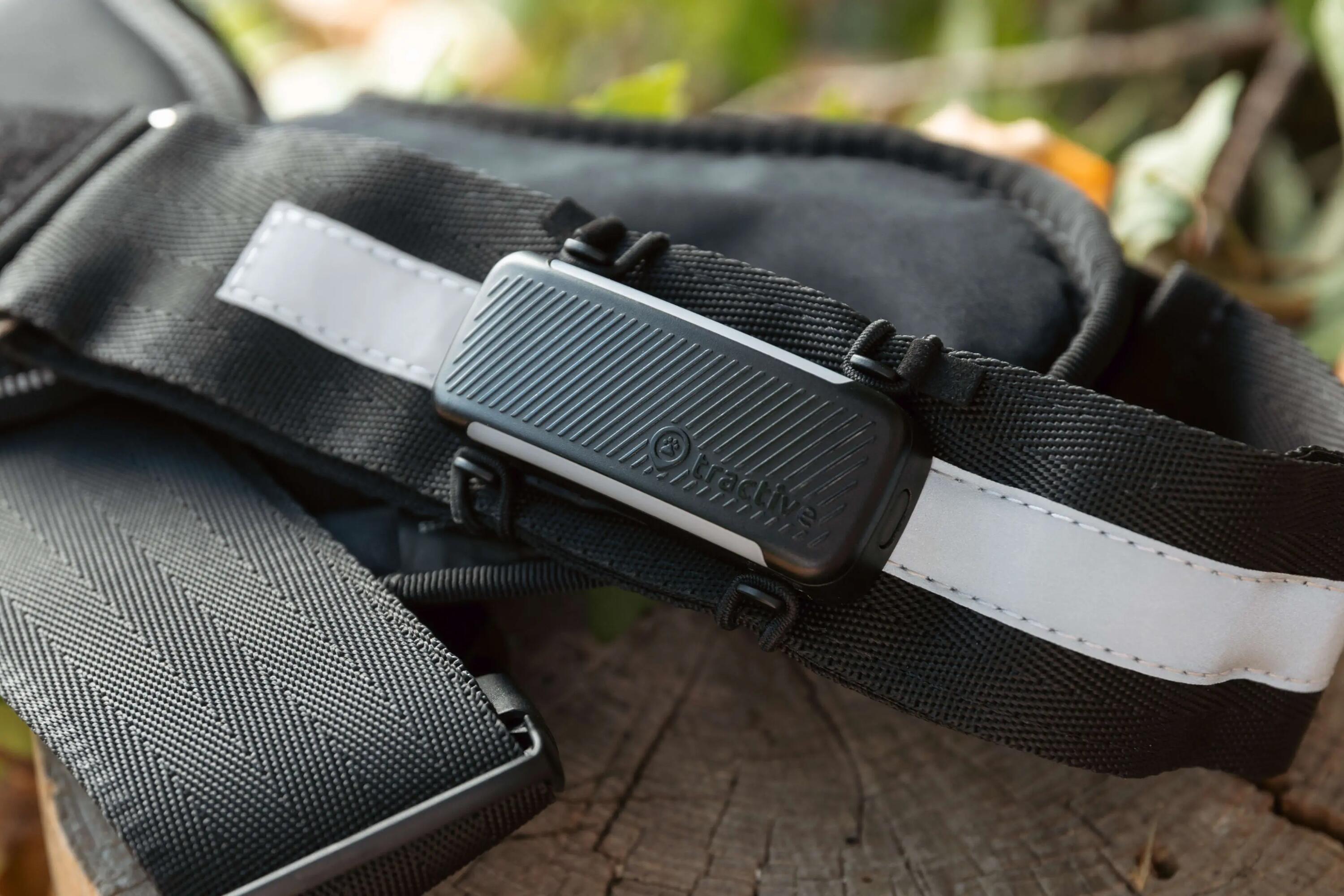 Tractive GPS Tracker Dog 6 Clip tessile S 2 pezzi 5/7