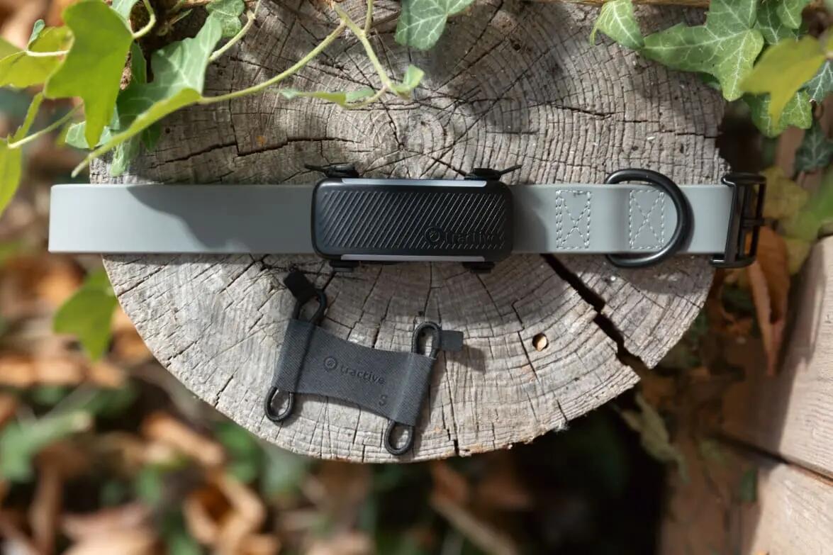 Tractive GPS Tracker Dog 6 Clip tessile S 2 pezzi 6/7