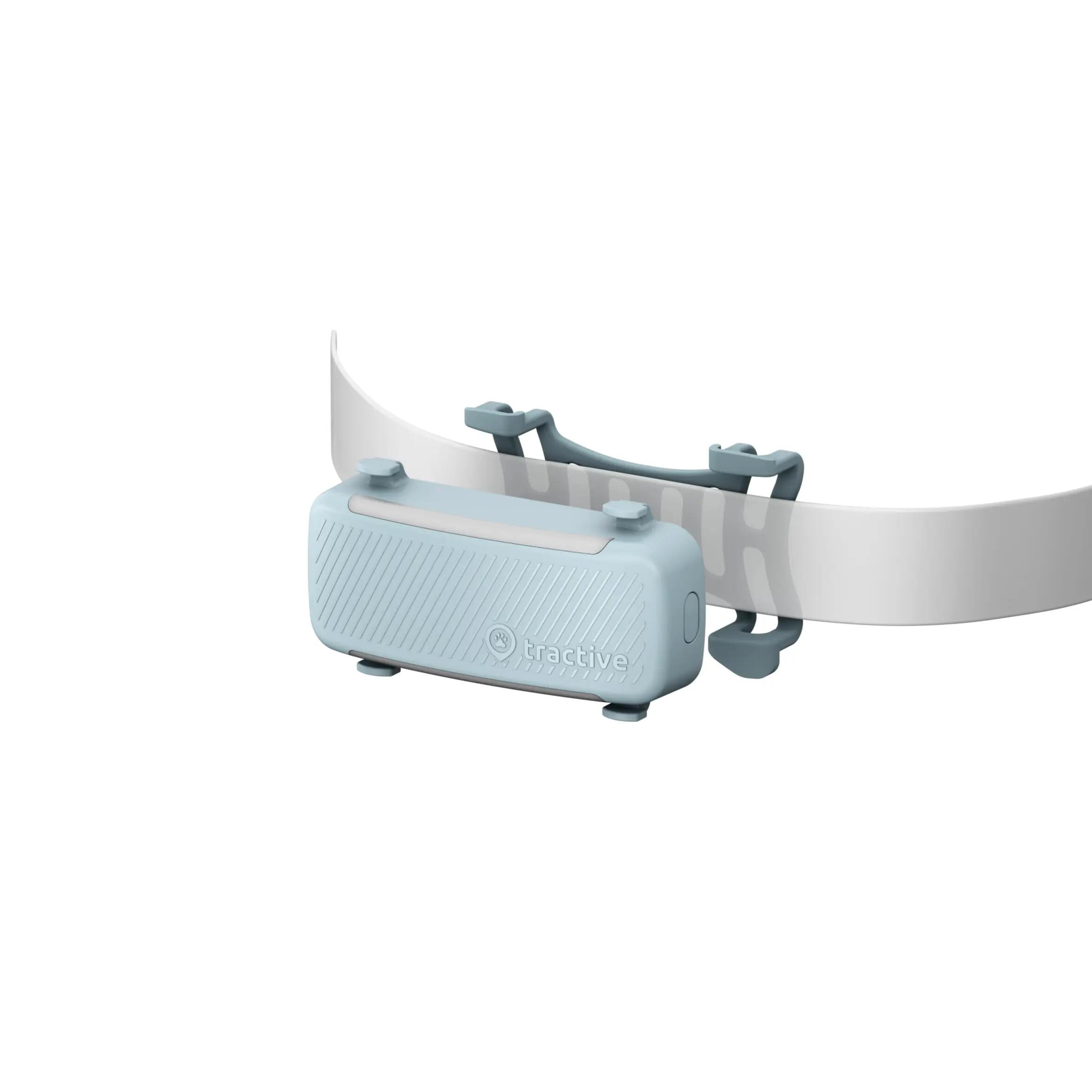 ATTACHES POUR TRACTIVE CHIEN 6 - MENTHE X2 3/3