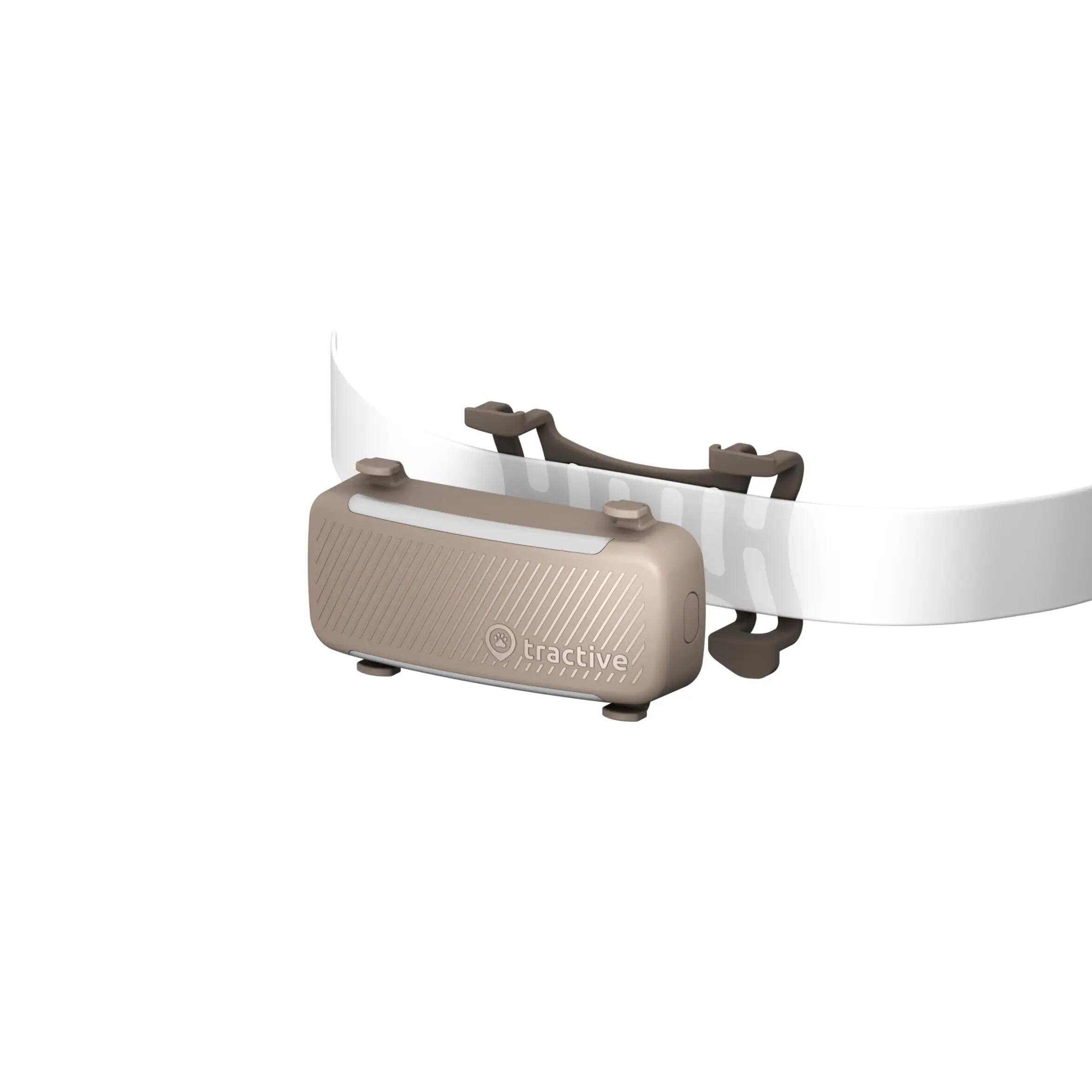 ATTACHES POUR TRACTIVE CHIEN 6 - MARRON X2 3/3