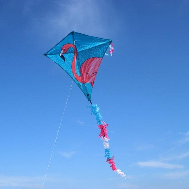 Kinderdrachen Eddy Flamingo (pink-türkis), Einleiner - flugfertig inkl. Schnur 6/7