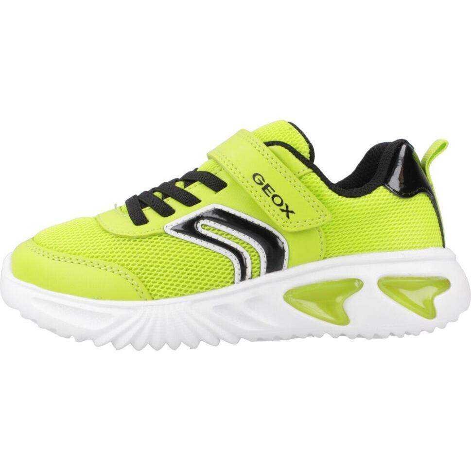 Tenisówki Geox Model J Assister Boy Kolor Zielony