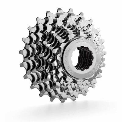 Tape miche primato campagnolo