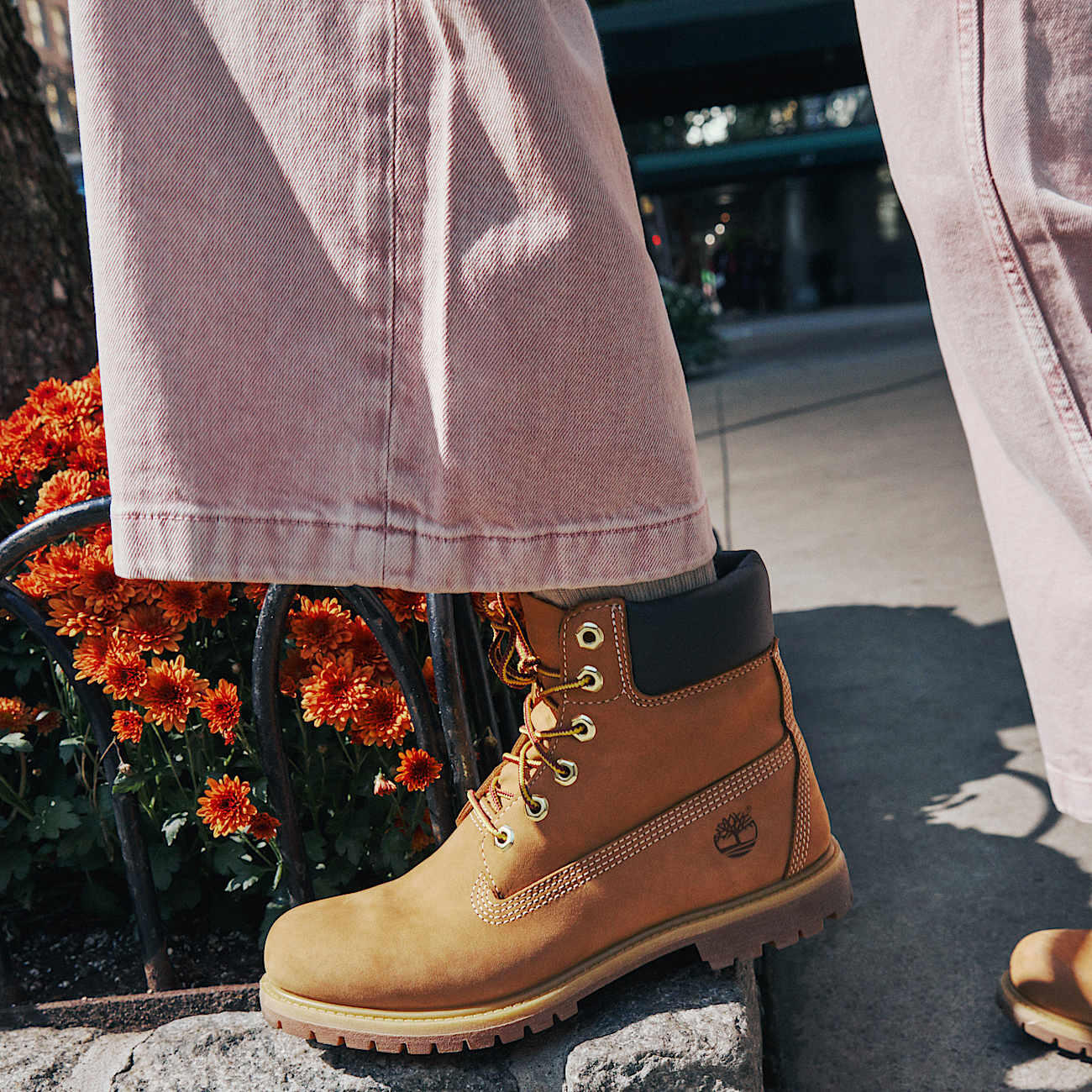 Timberland Modelo Premium 6 I Cor Castanho 4/5
