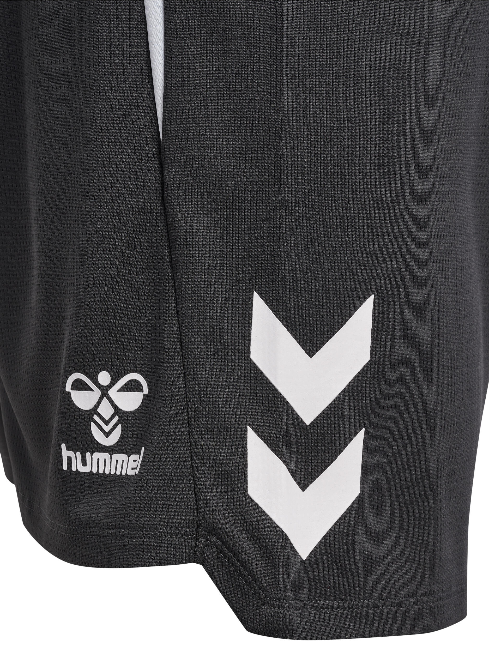 Fermeture À Cordon Short Hmllead Homme 7/7
