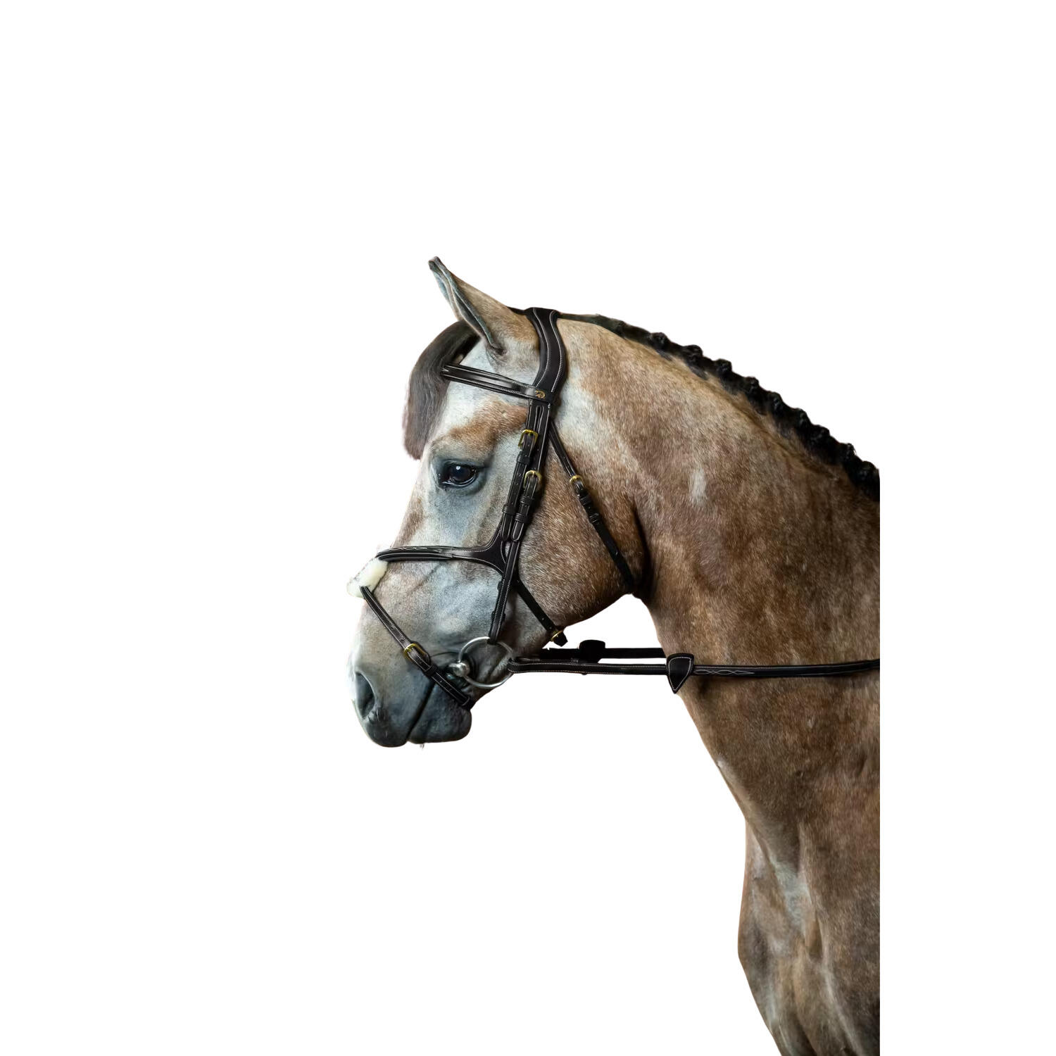 Brida de equitación con muserola cruzada anatómica Dy'on 2/2