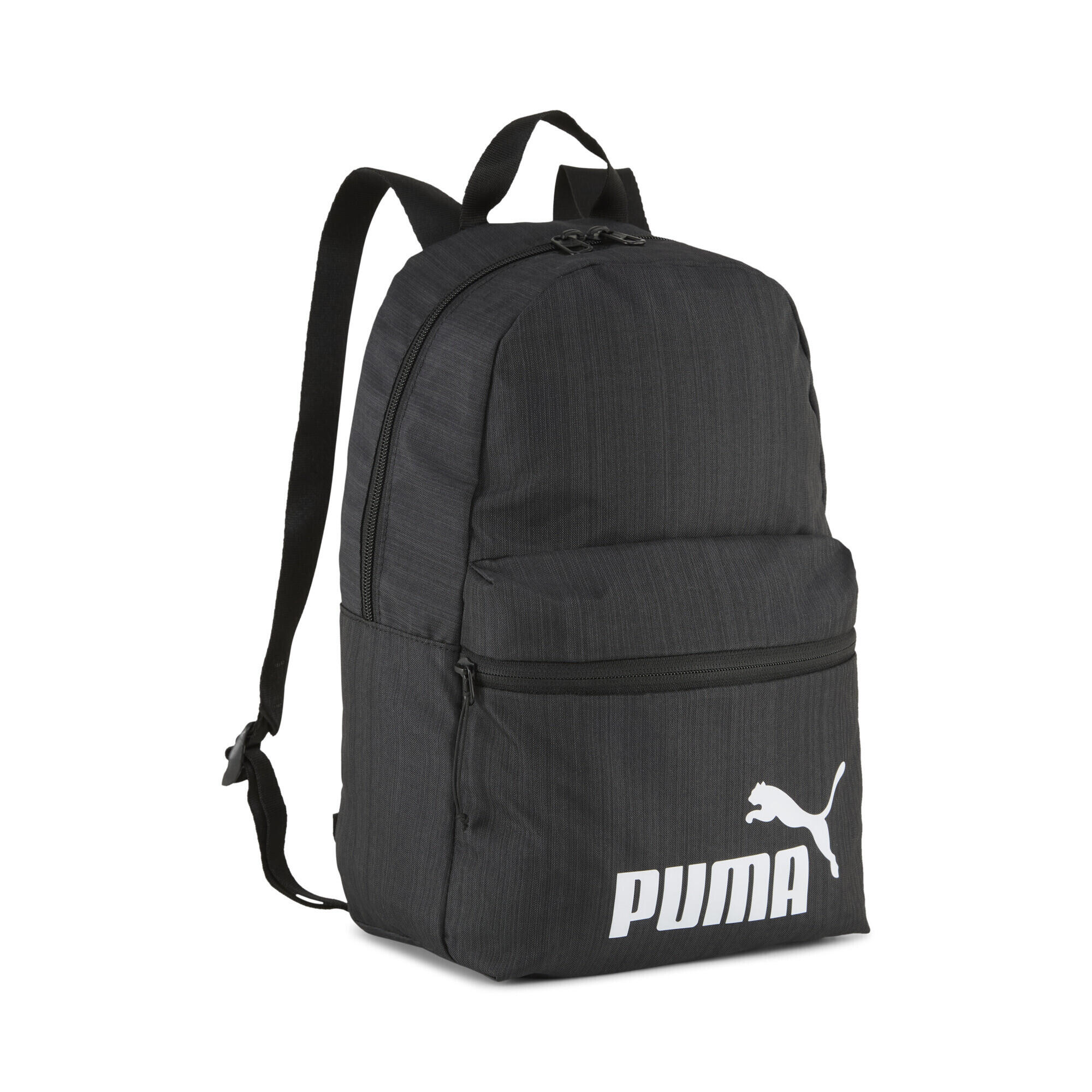 PUMA picture