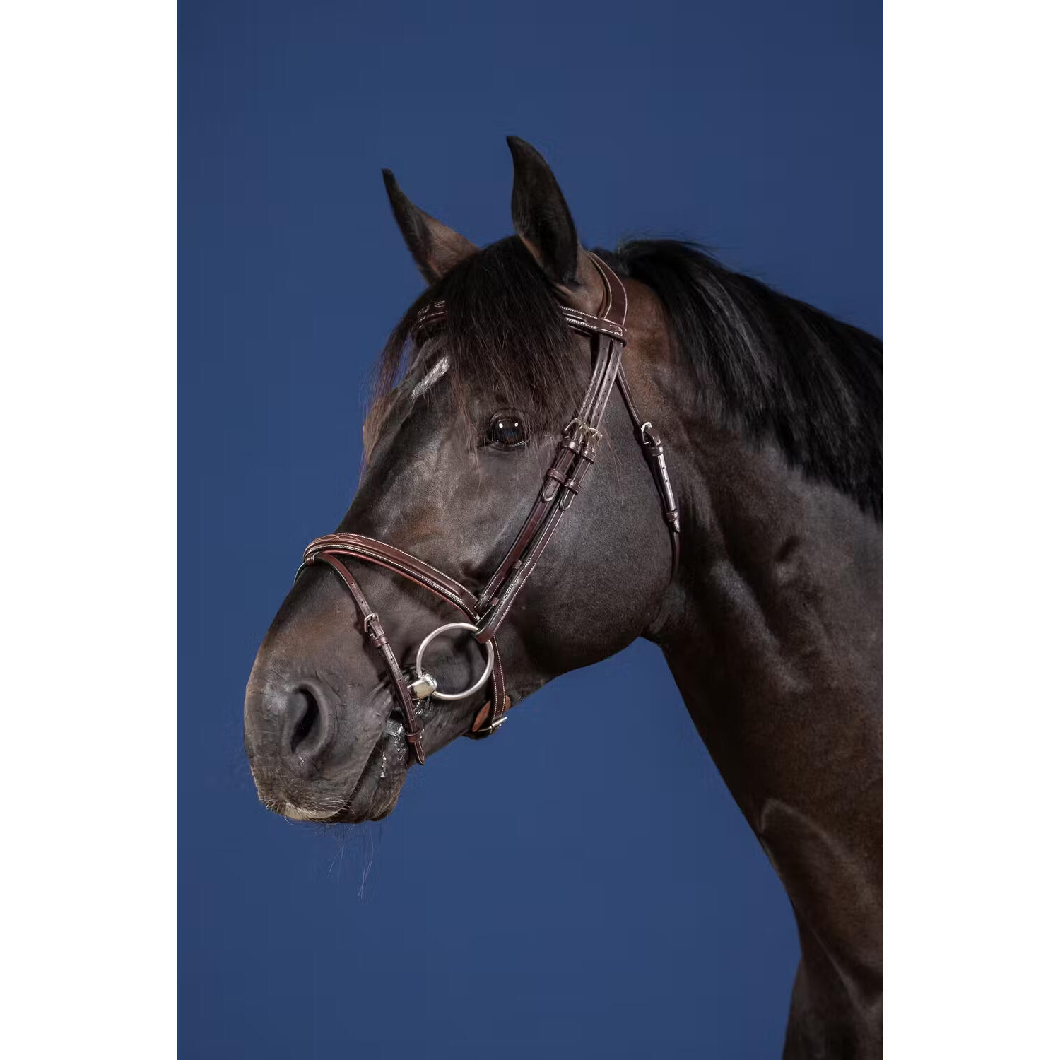 Flash Noseband Bridle Hunter 3/3