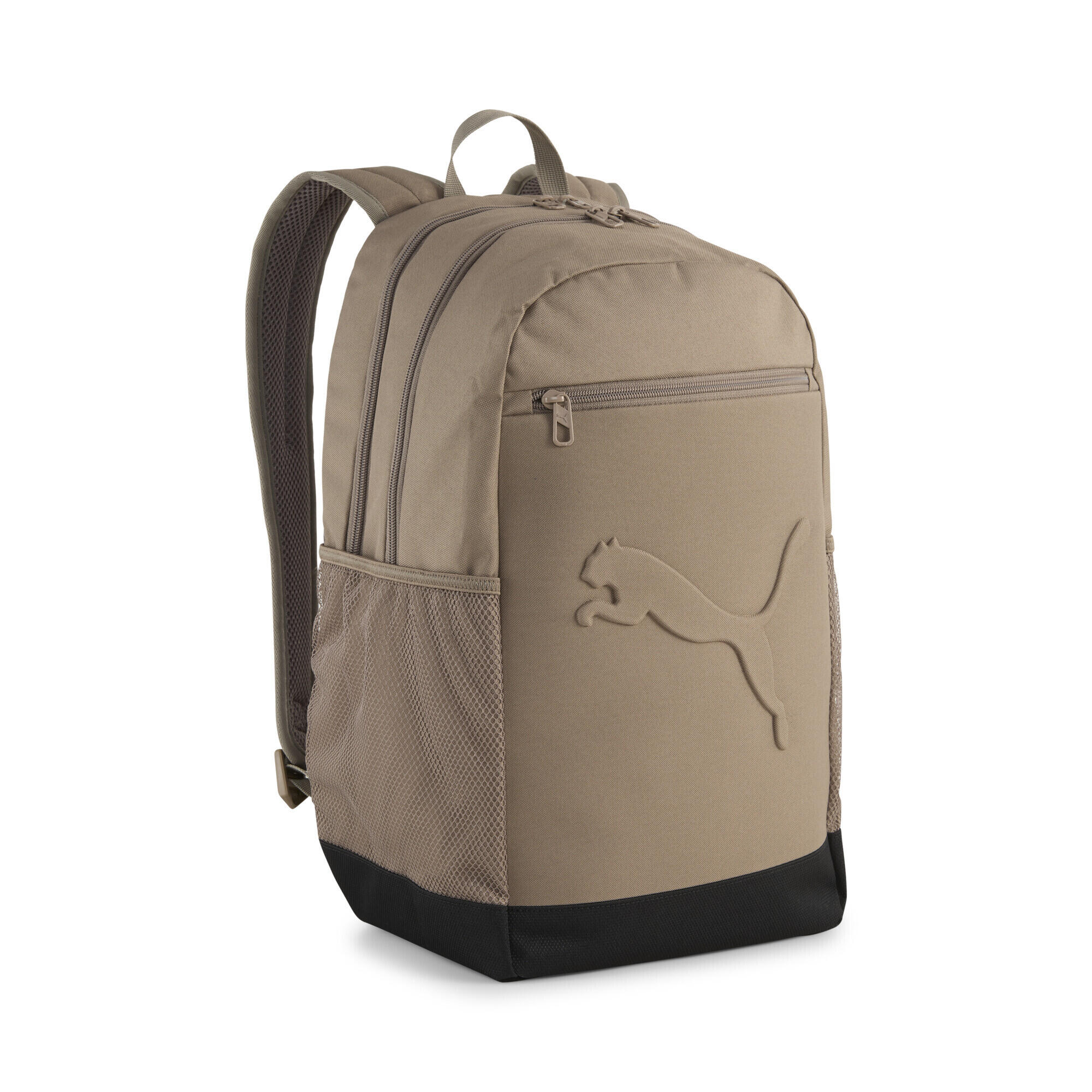 PUMA picture