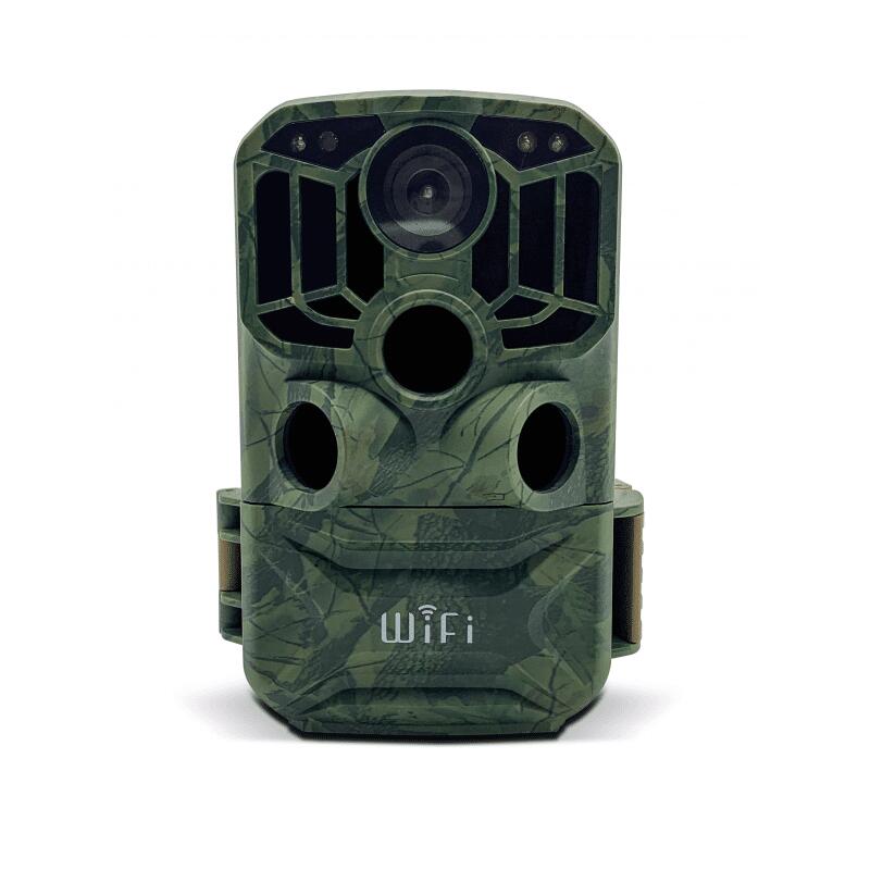 3d260d99-c909-495b-8405-cbce9401dd96_novar