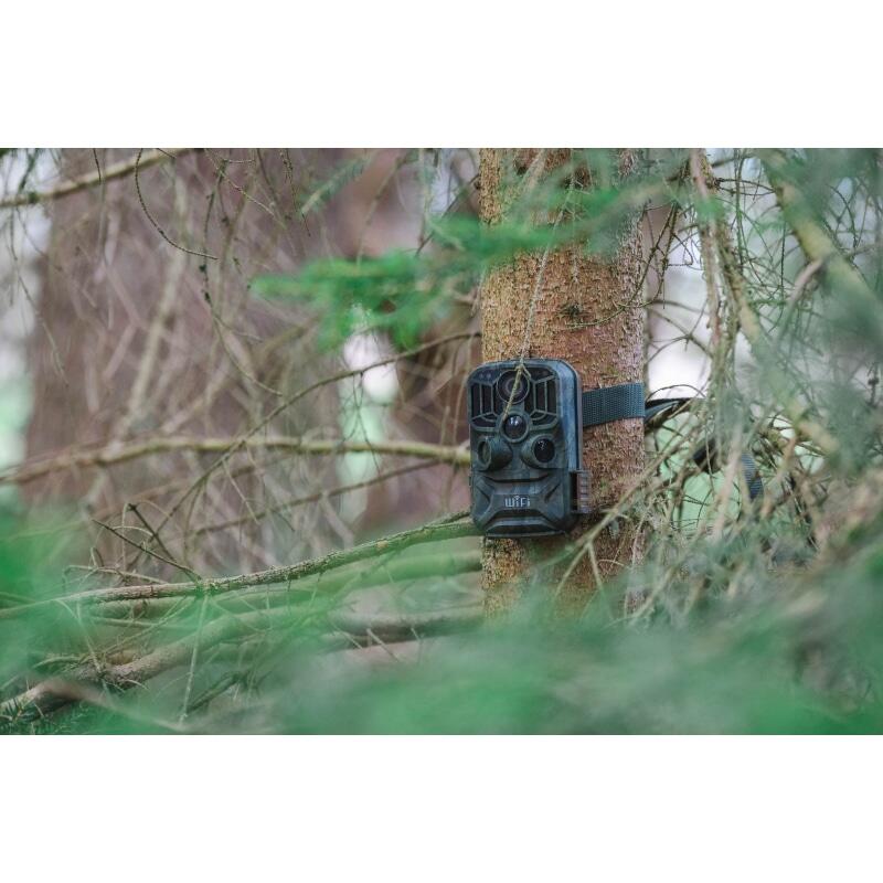 Camera vanatoare cu telecomanda 24MP 1296P Braun 800 WiFi 57666