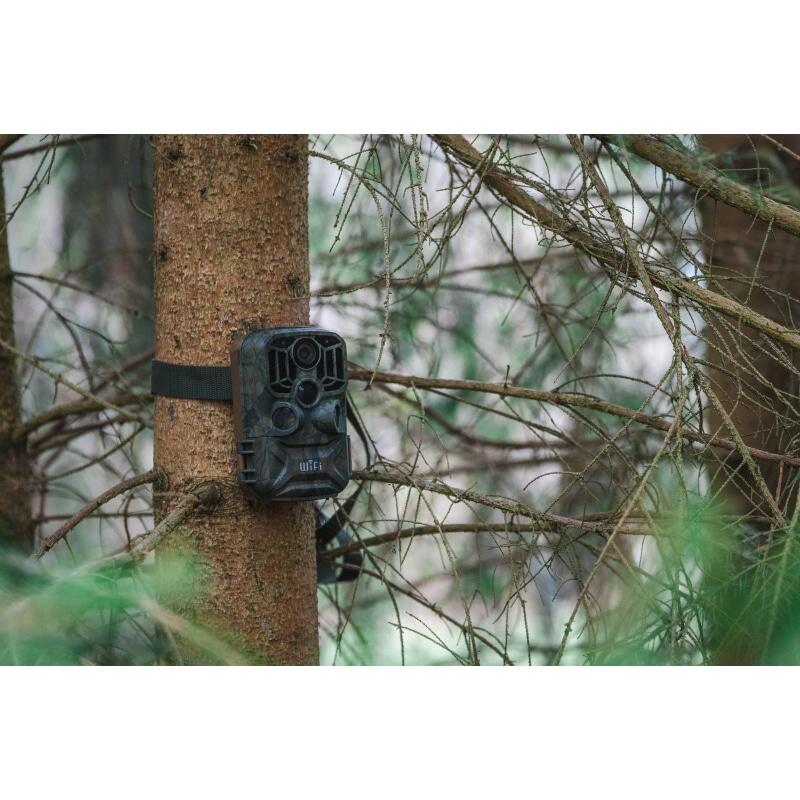 Camera vanatoare cu telecomanda 24MP 1296P Braun 800 WiFi 57666