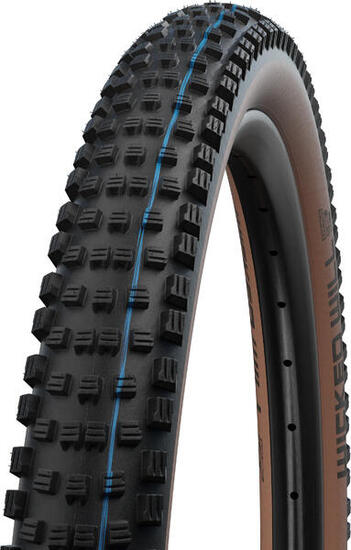 SCHWALBE
