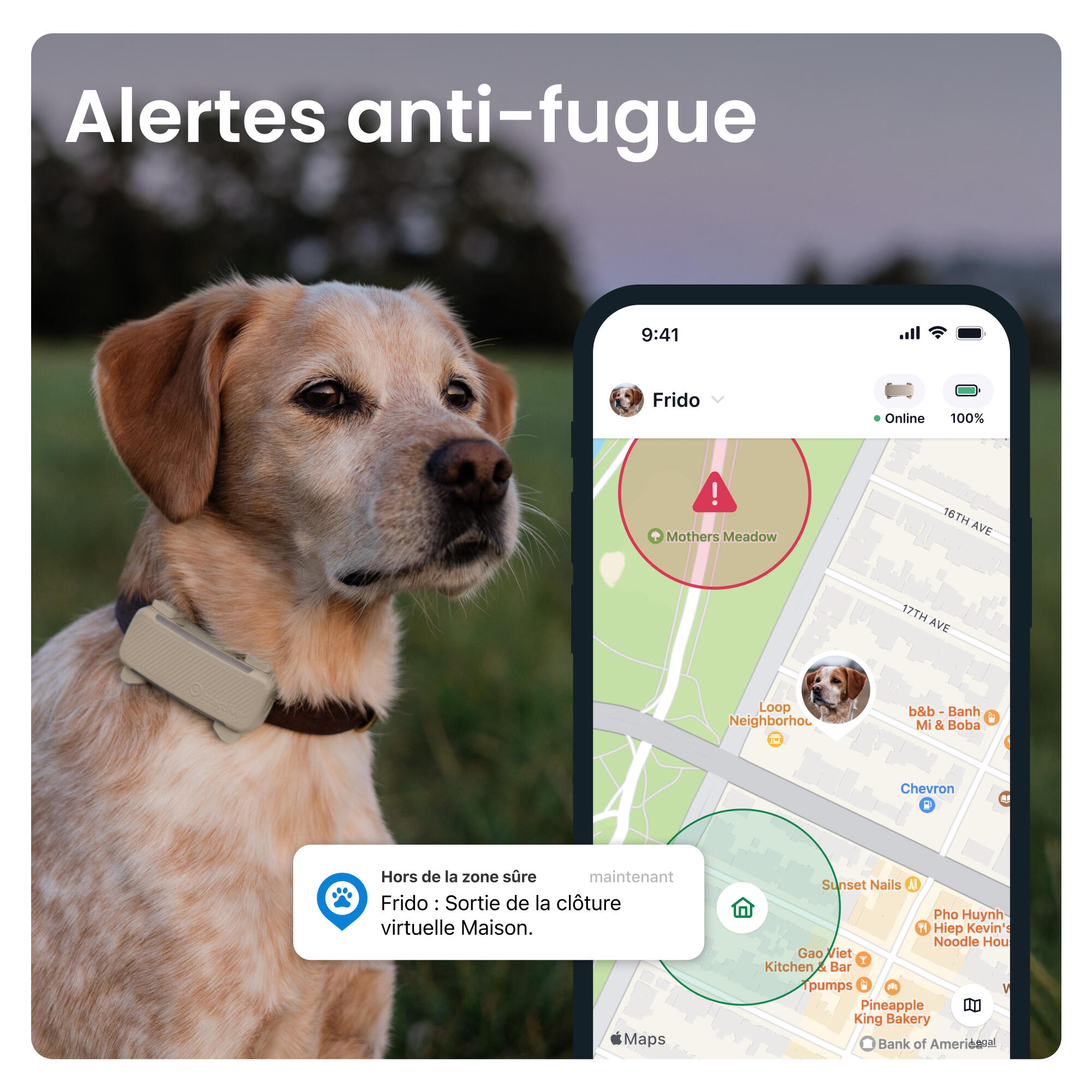 TRACTIVE DOG 6 BROWN- GPS Perro + seguimiento actividad café 3/7