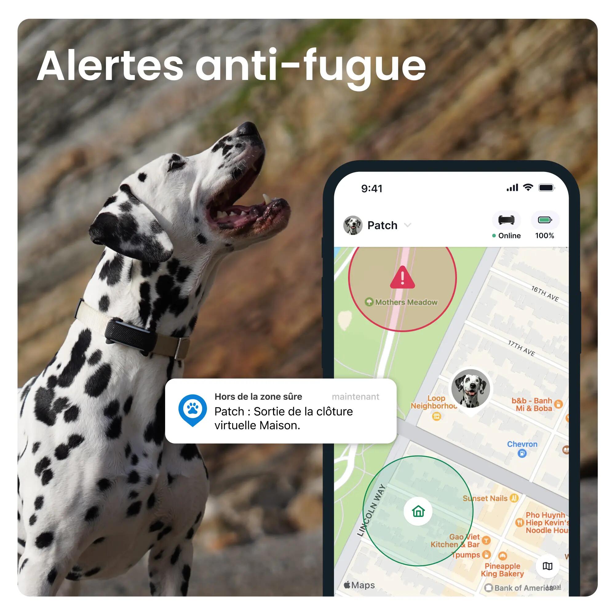 GPS Perro + seguimiento actividad negro 3/7