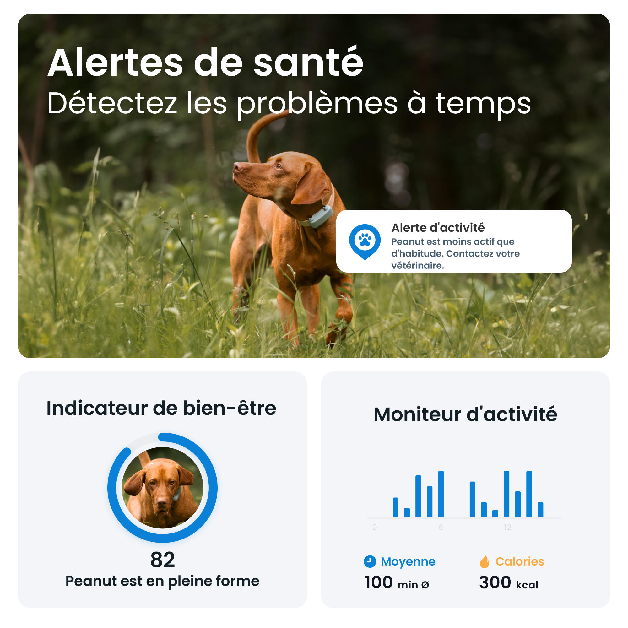 TRACTIVE DOG 6 MINT- GPS Perro + seguimiento actividad menta 5/7
