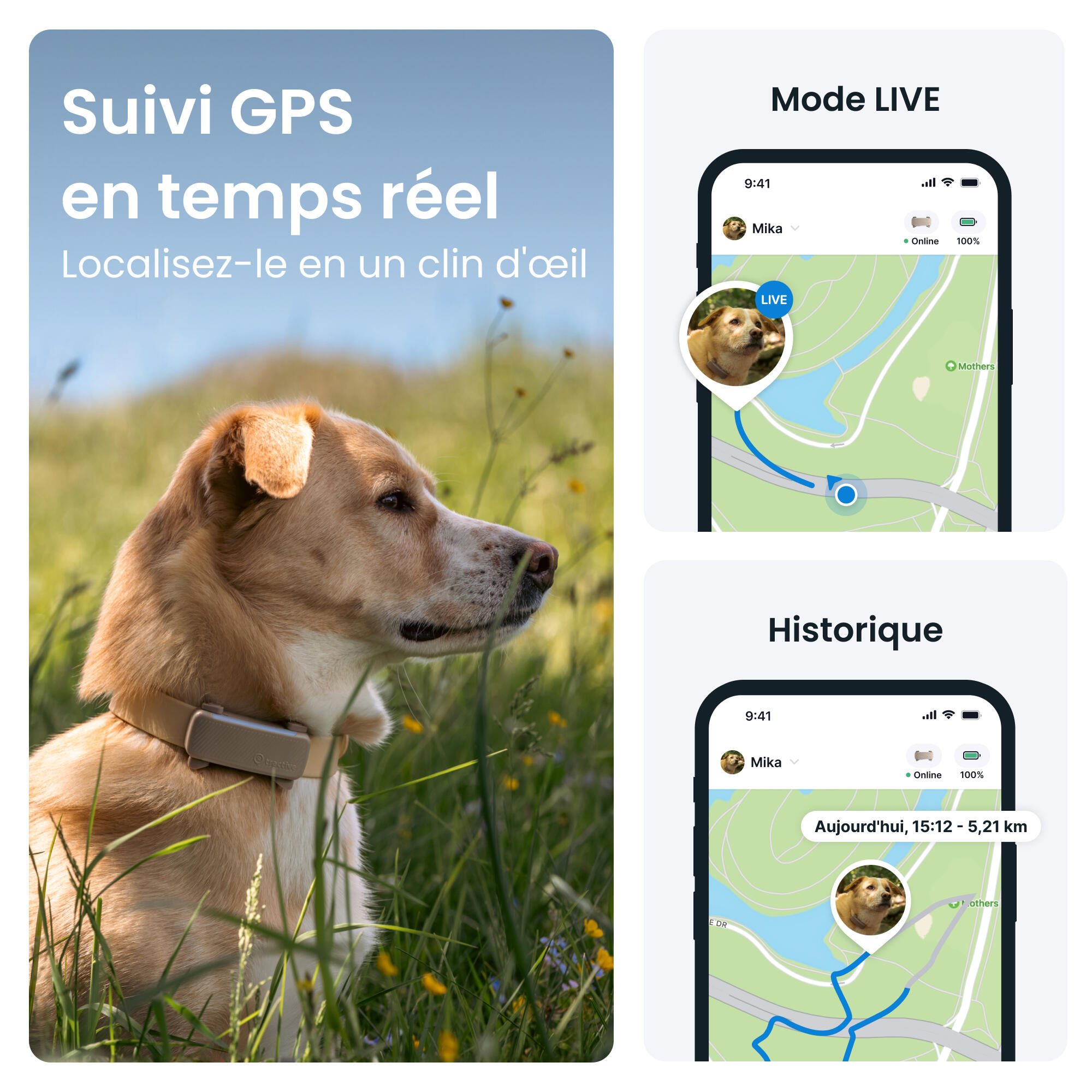 TRACTIVE DOG 6 BROWN- GPS Perro + seguimiento actividad café 2/7