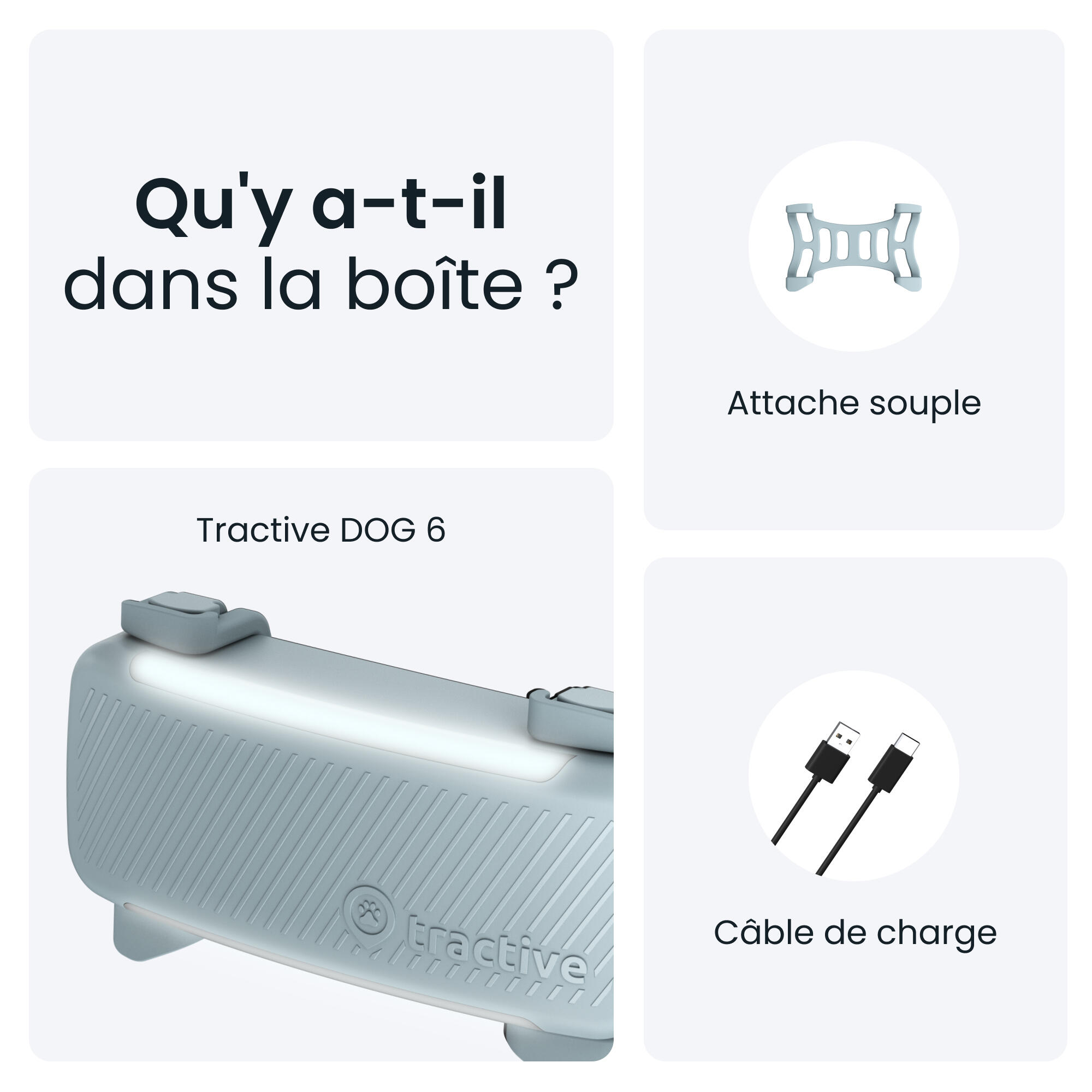 TRACTIVE DOG 6 MINT- GPS Perro + seguimiento actividad menta 7/7