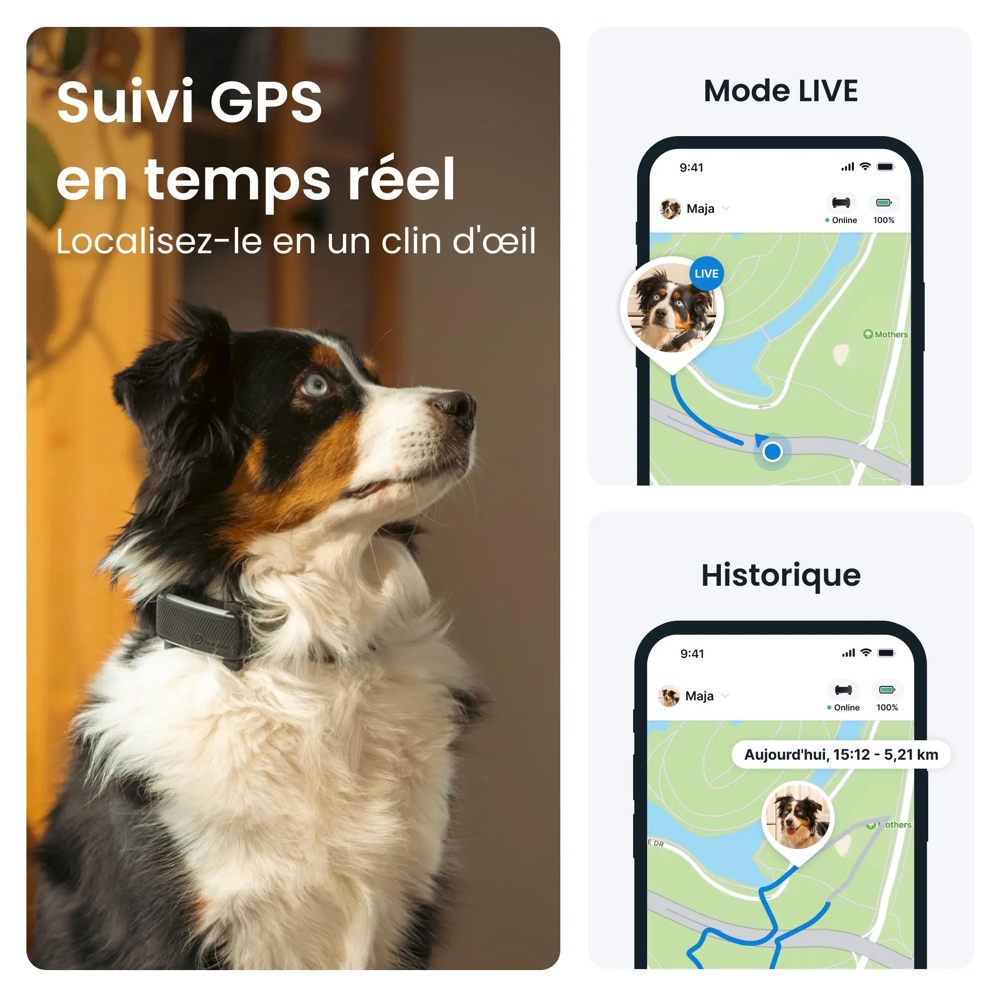 GPS Perro + seguimiento actividad negro 2/7