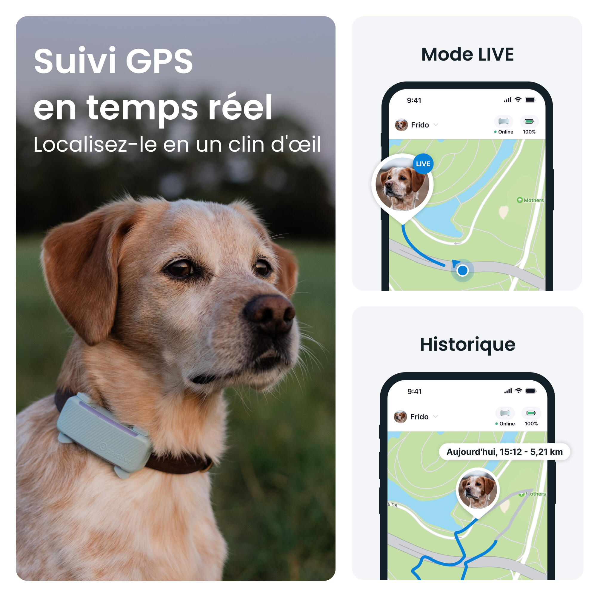 TRACTIVE DOG 6 MINT- GPS Perro + seguimiento actividad menta 2/7
