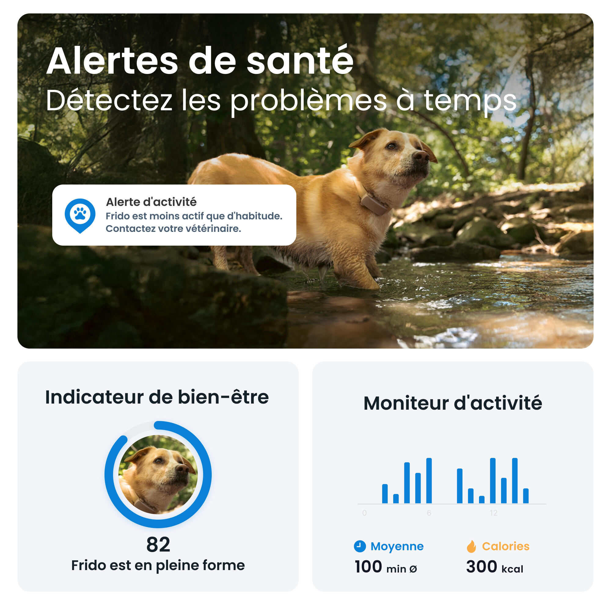 TRACTIVE DOG 6 BROWN- GPS Perro + seguimiento actividad café 5/7
