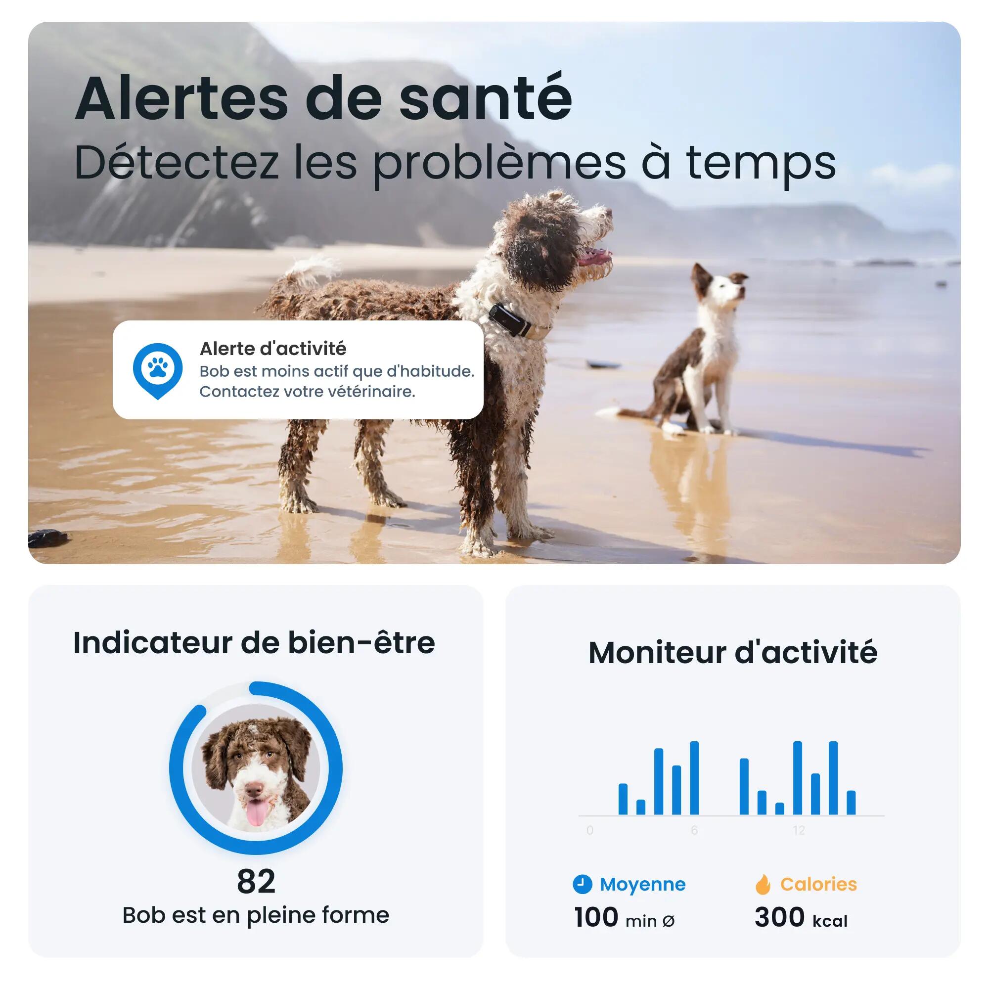 GPS Perro + seguimiento actividad negro 5/7