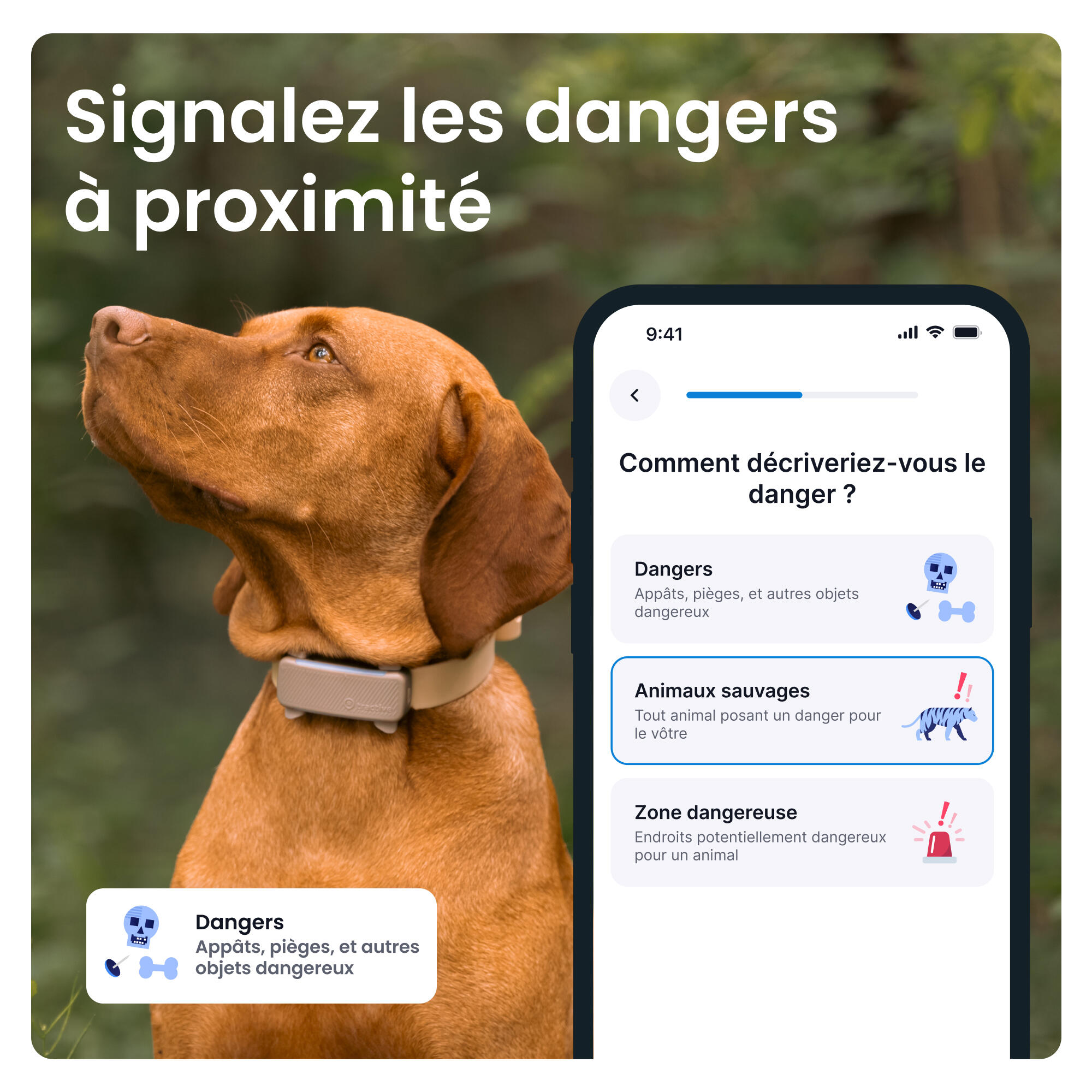 TRACTIVE DOG 6 BROWN- GPS Perro + seguimiento actividad café 4/7