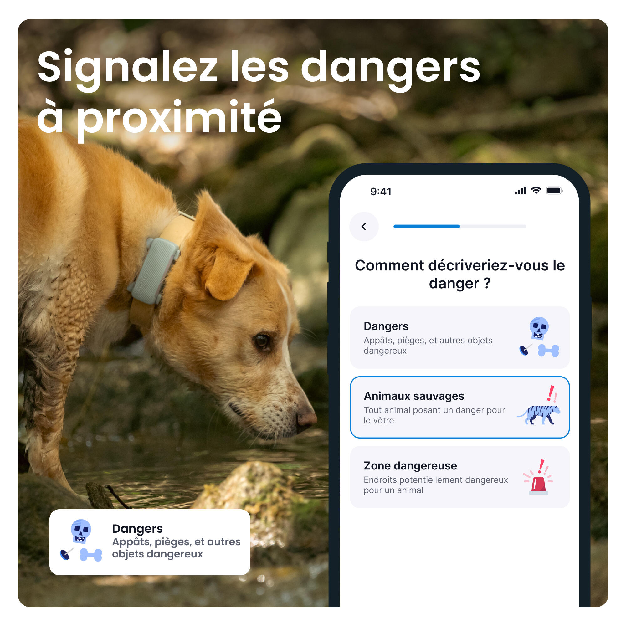 TRACTIVE DOG 6 MINT- GPS Perro + seguimiento actividad menta 4/7