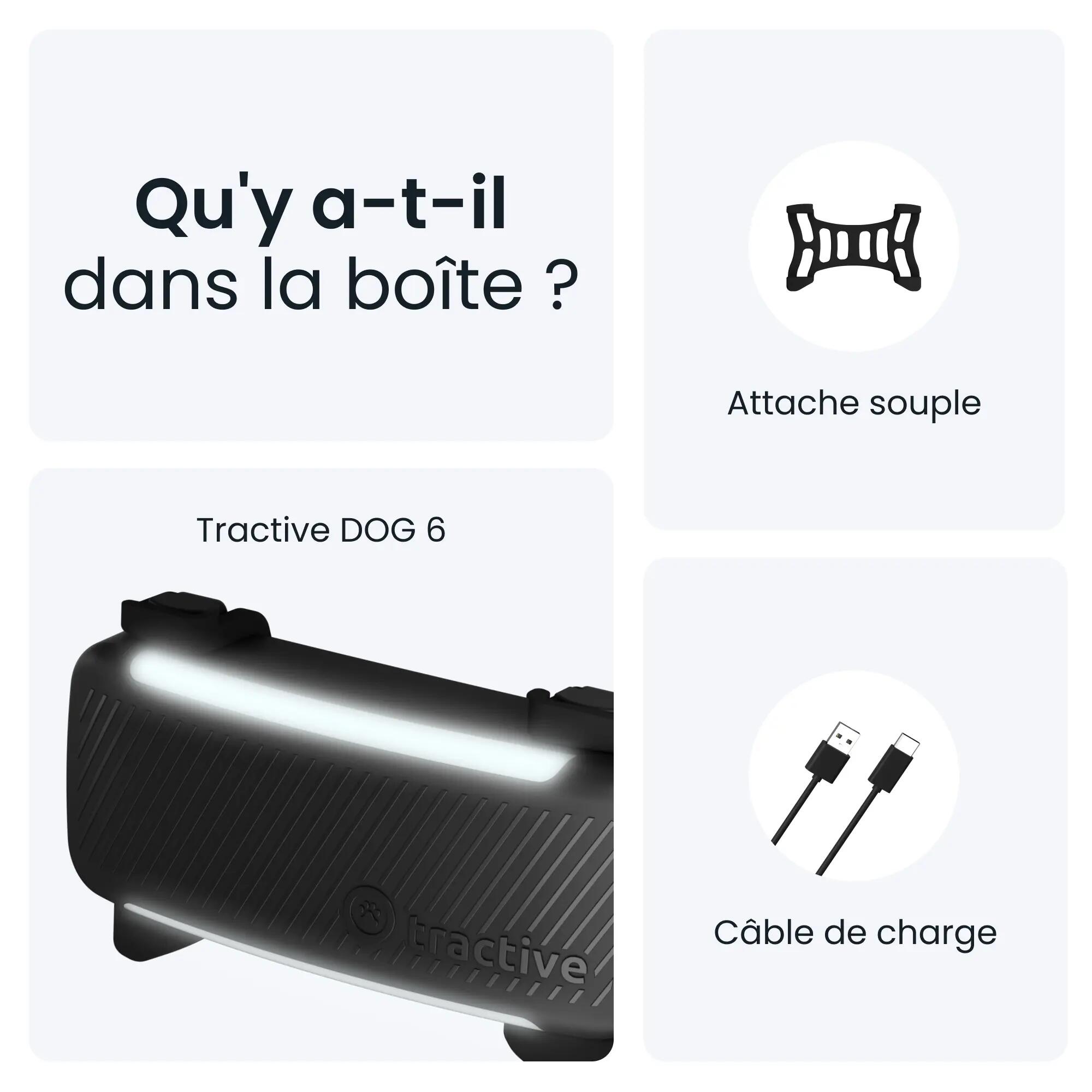 GPS Perro + seguimiento actividad negro 7/7