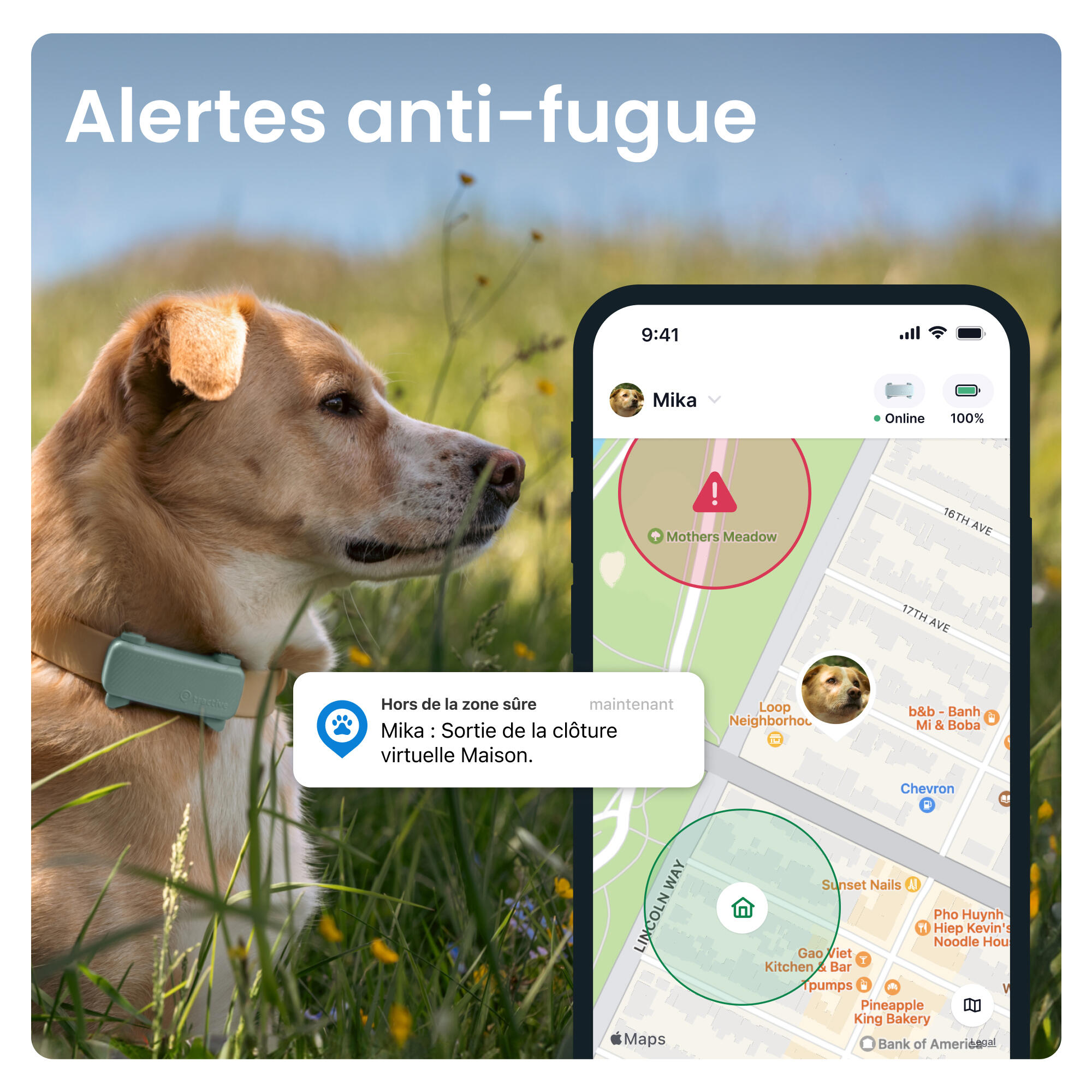 TRACTIVE DOG 6 MINT- GPS Perro + seguimiento actividad menta 3/7