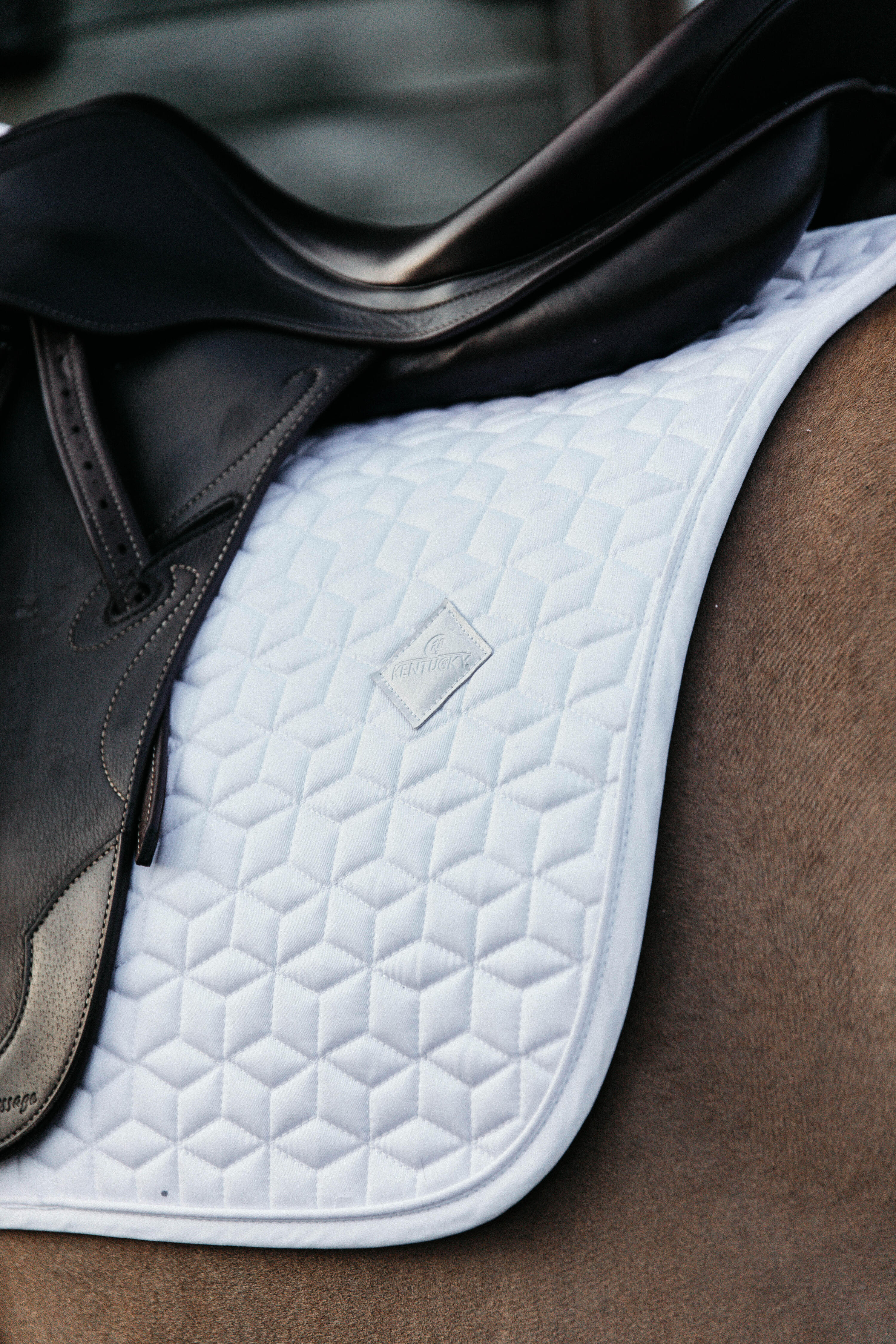 Tappeto da dressage Kentucky Classic 4/4