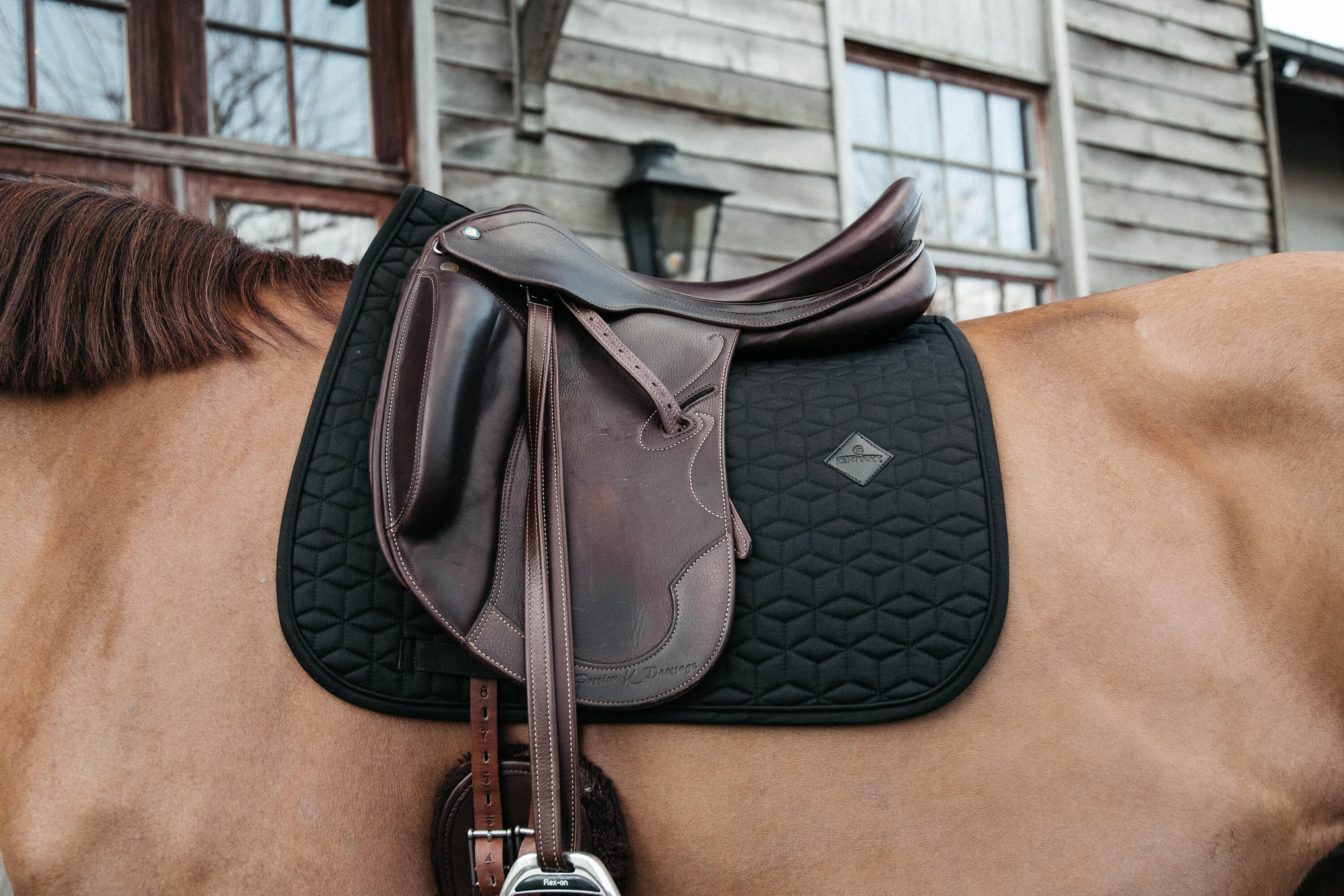 Schabracke classic Dressur schwarz 5/5