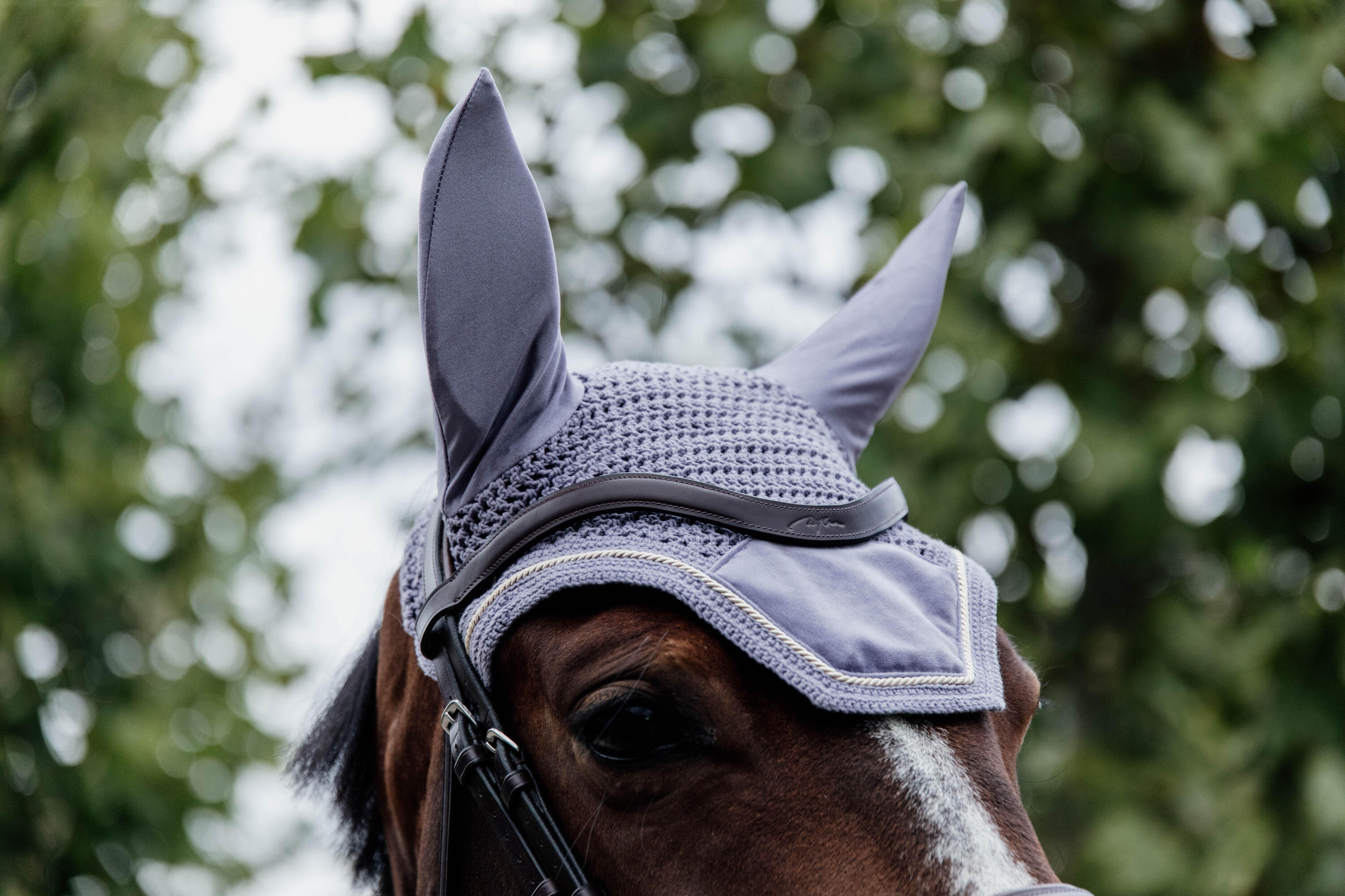 Wellington Oornetje - Velvet - Paars - Voor Paard 5/5