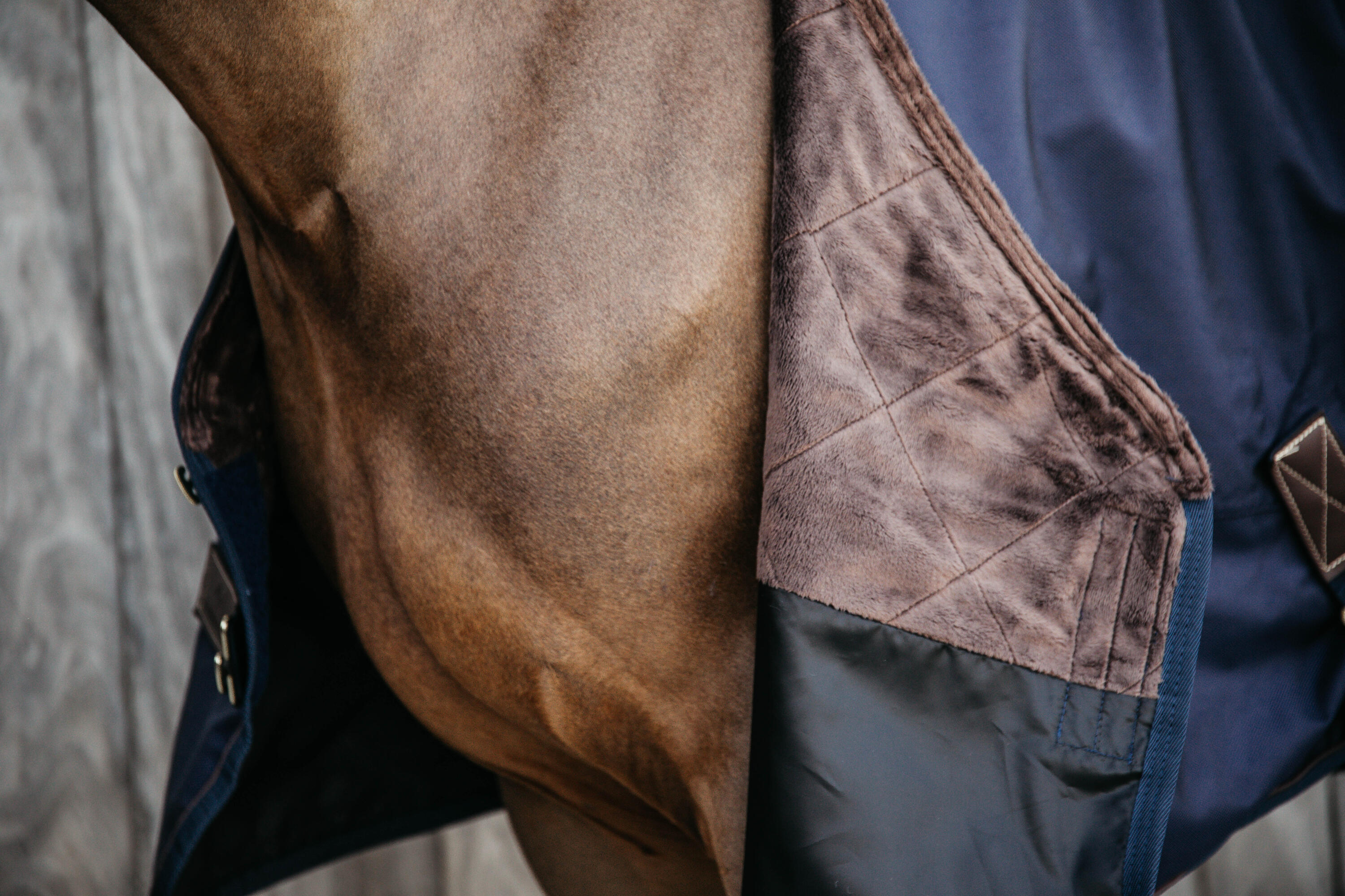 Turnout rug all weather waterproof pro navy 125-5'9 160 g 5/5